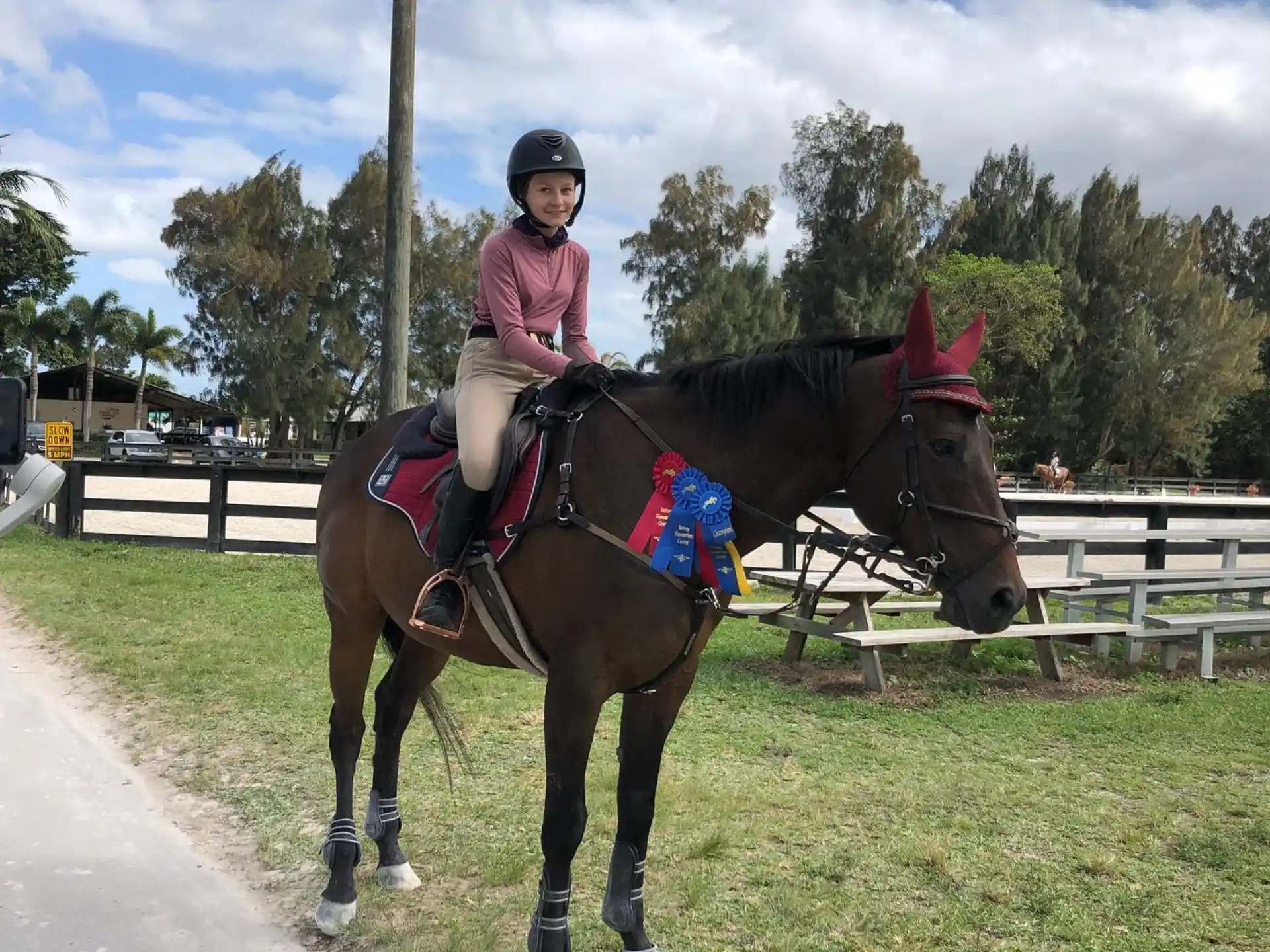 a person riding a horse