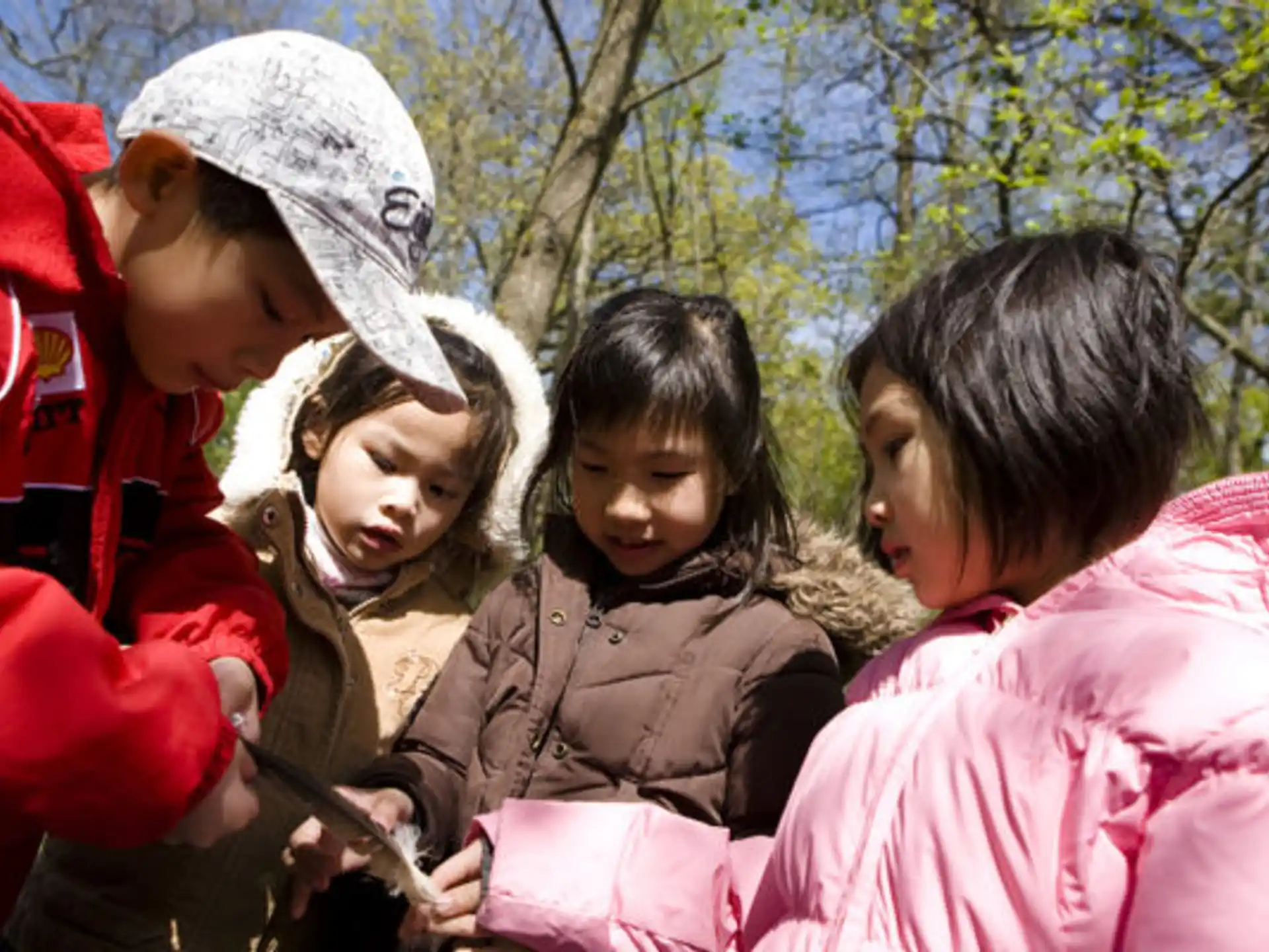 a group of children outside