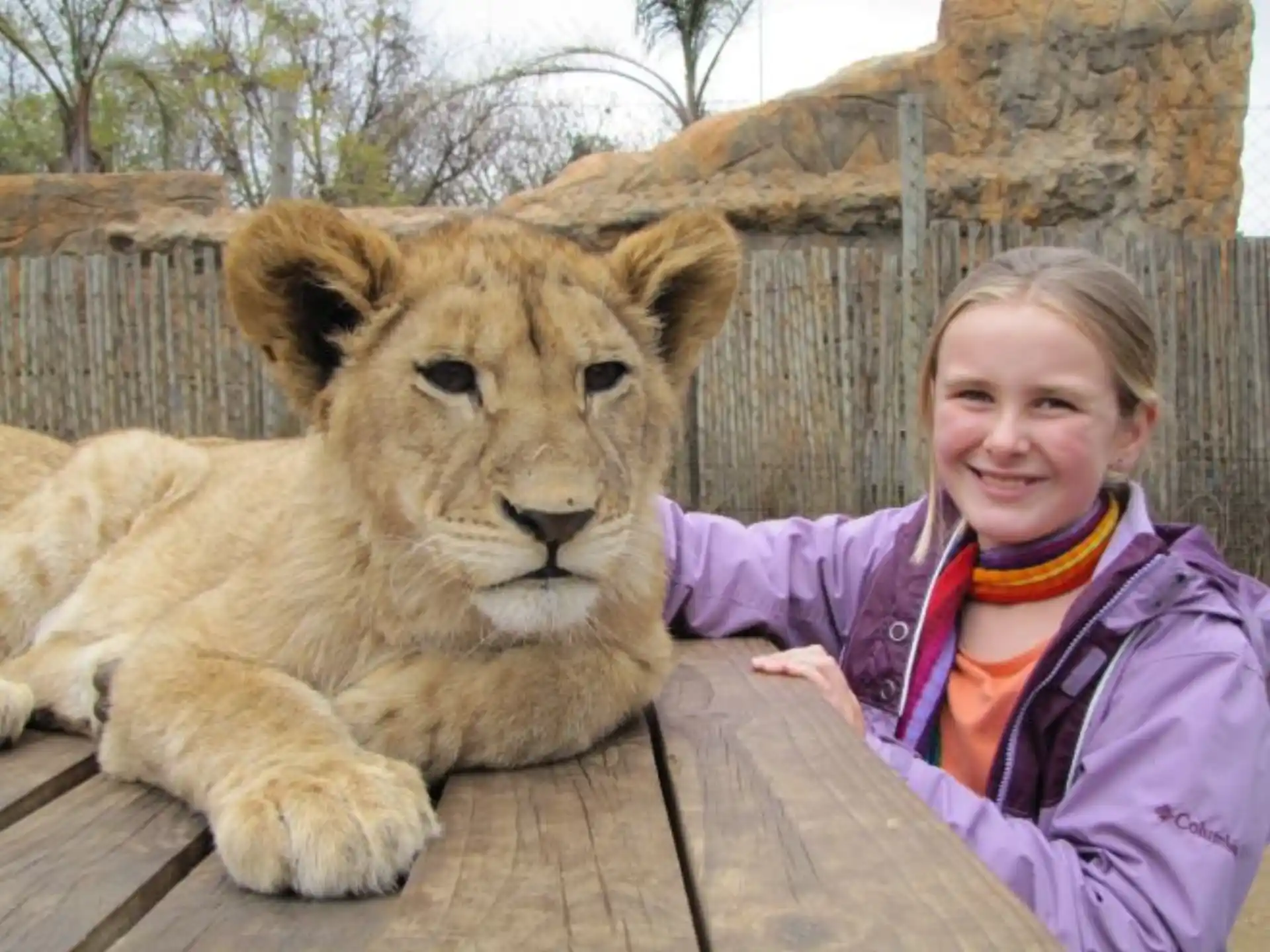 a person posing with a lion