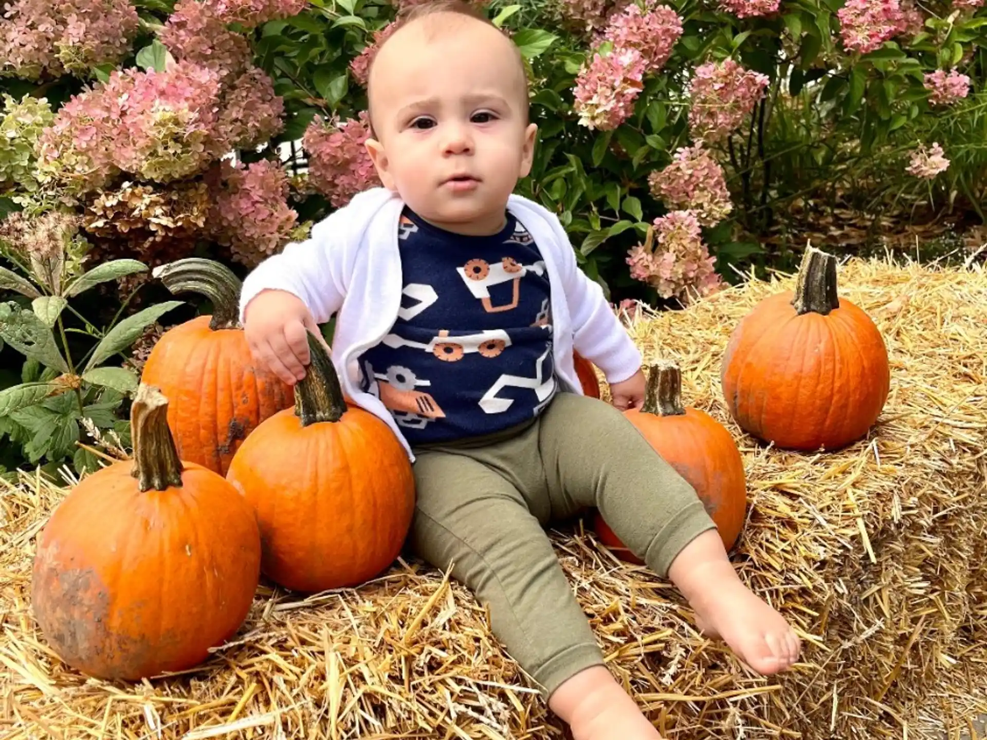 a baby sitting on a pile of pumpkins