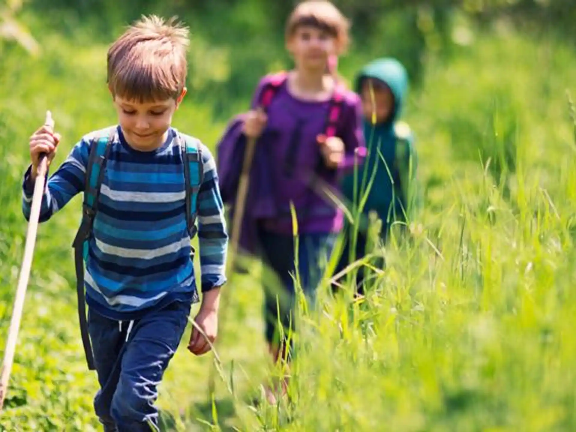a group of people walking through a field