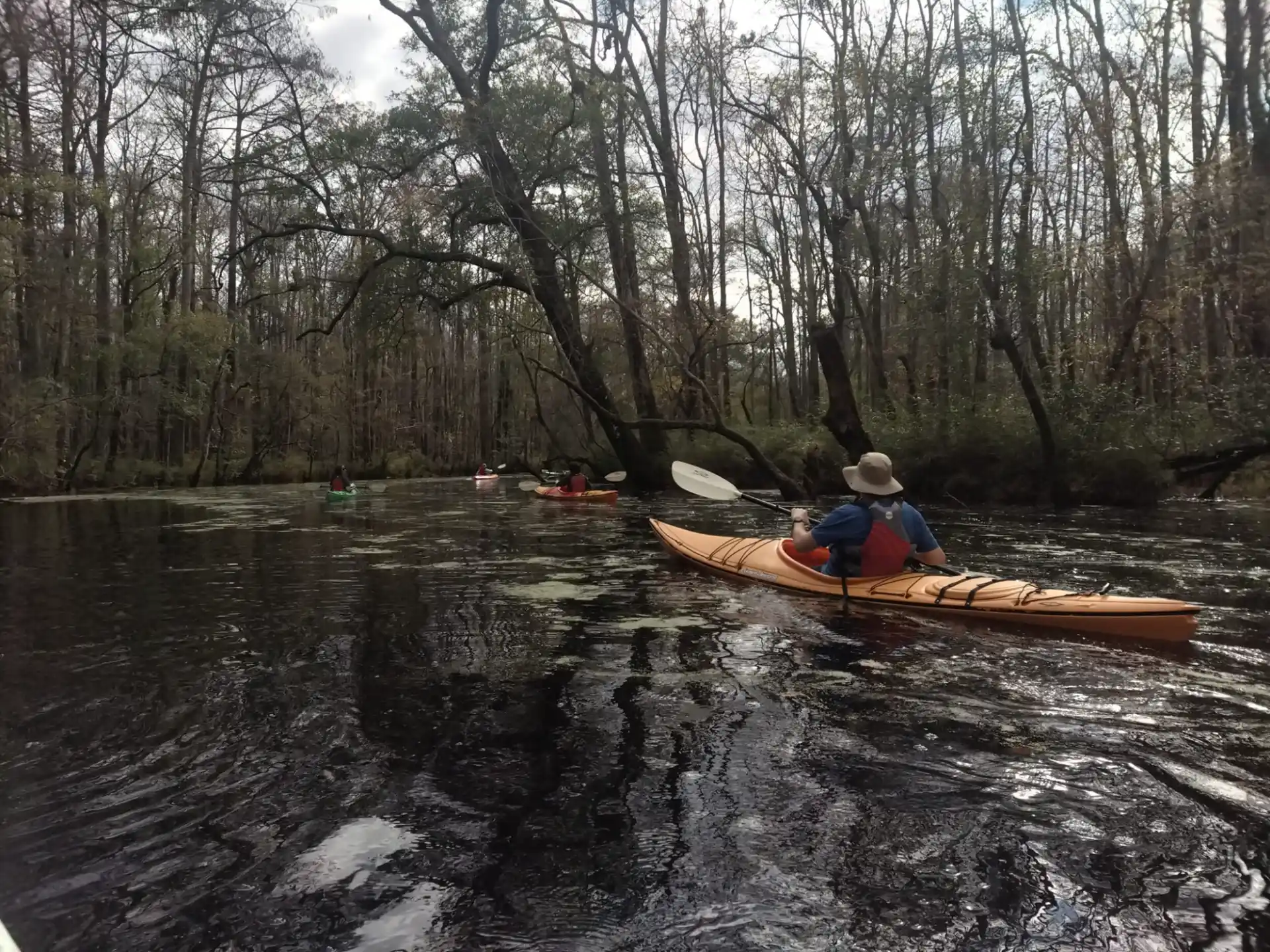 a group of people in canoes on a river
