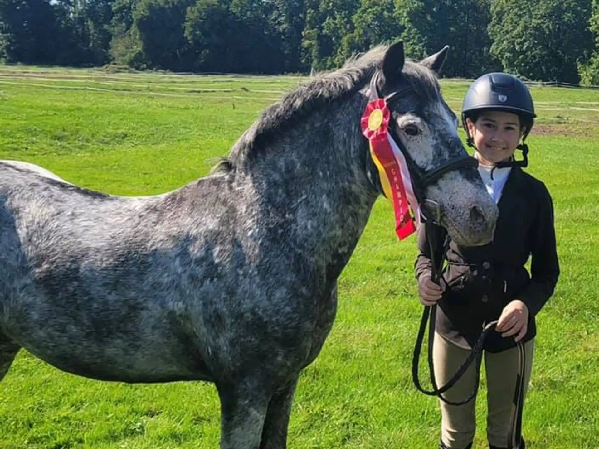 a person in a horse mask next to a horse
