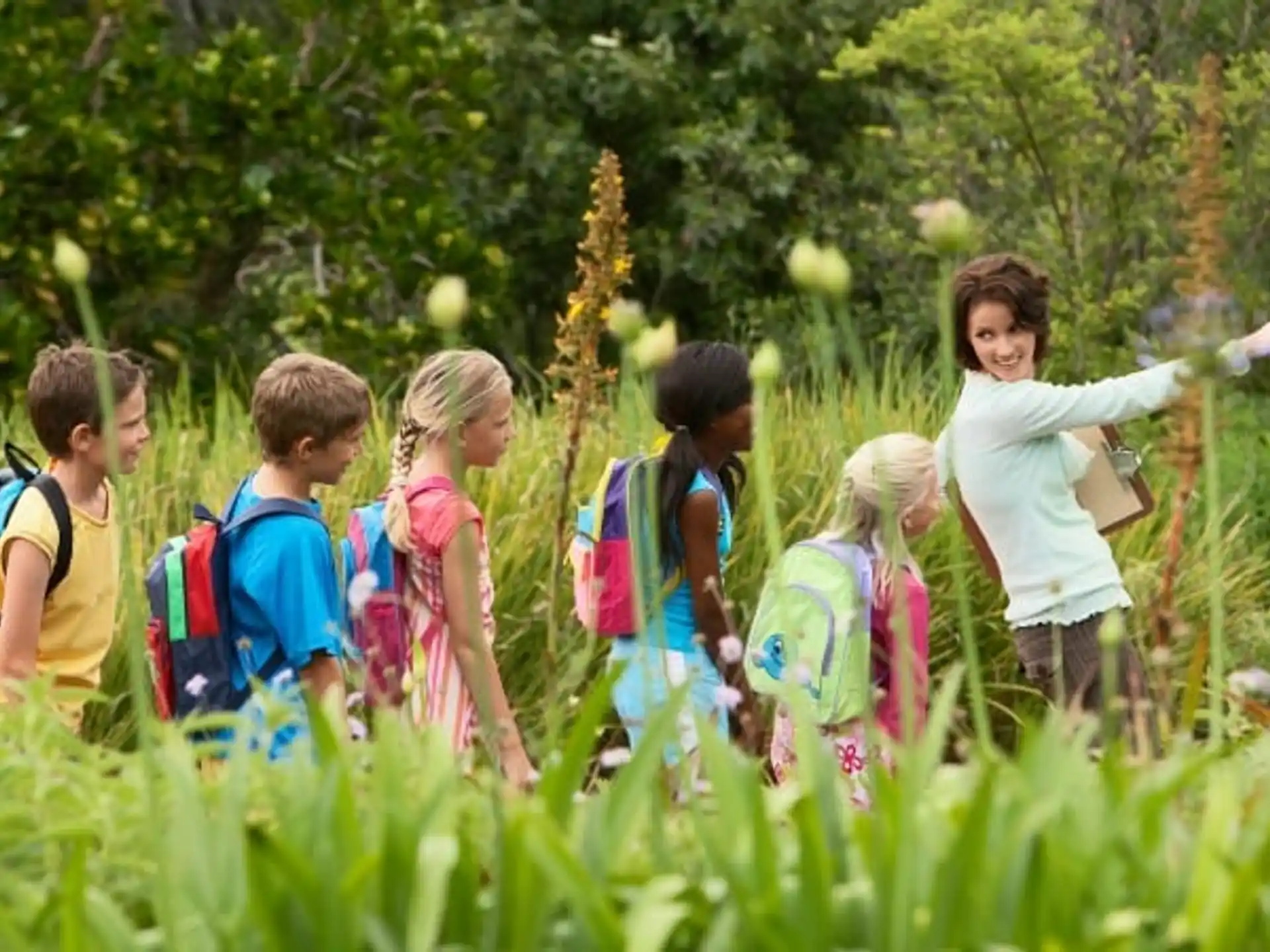 a group of children in a grassy area