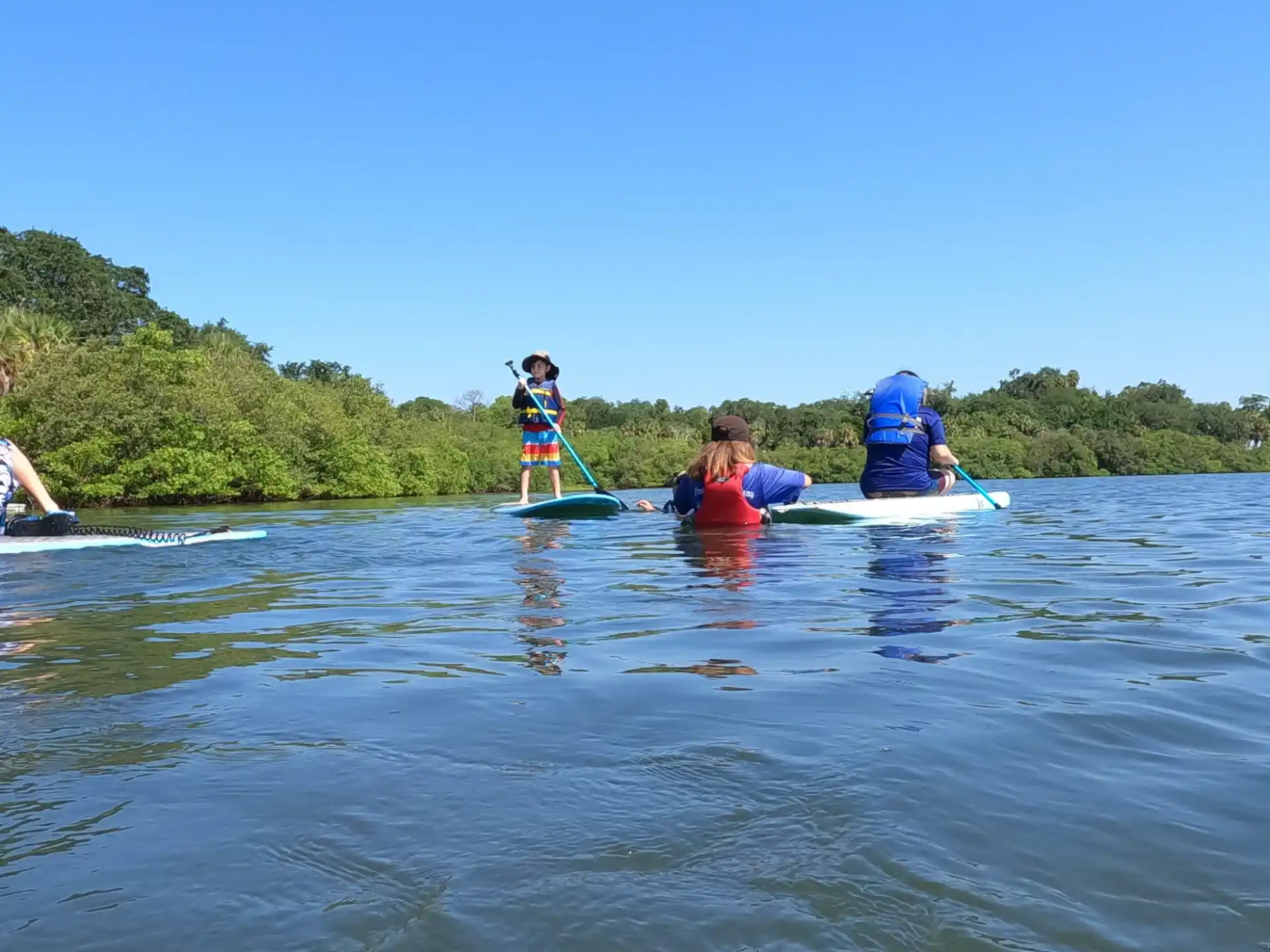 a group of people on surfboards in a lake