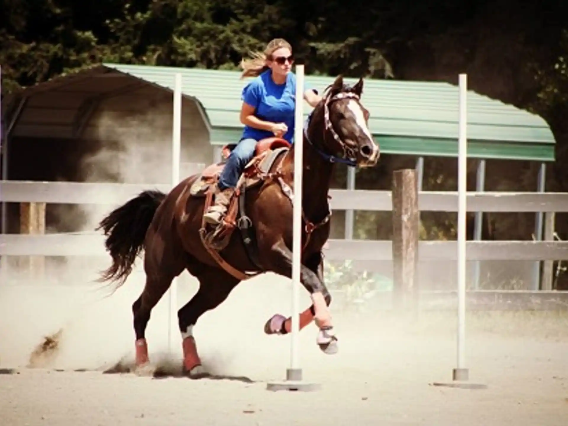 High Point Equestrian Center — 65efc1db 6538 4b45 939d f3fdce2b40df