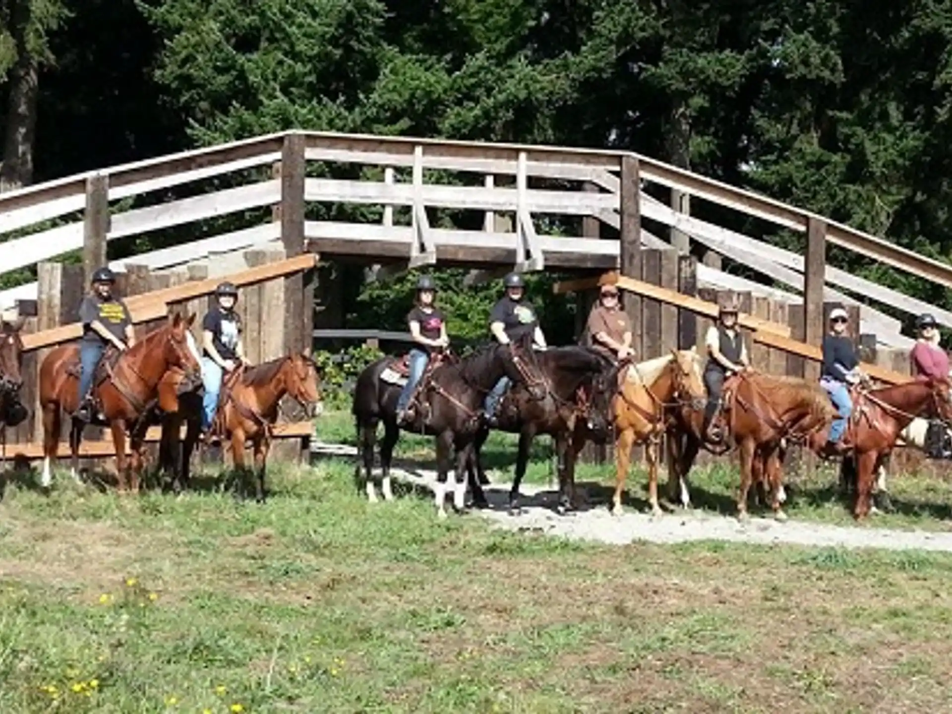 High Point Equestrian Center — 9929d204 e5e9 402c bee5 5306c4ff2fcd