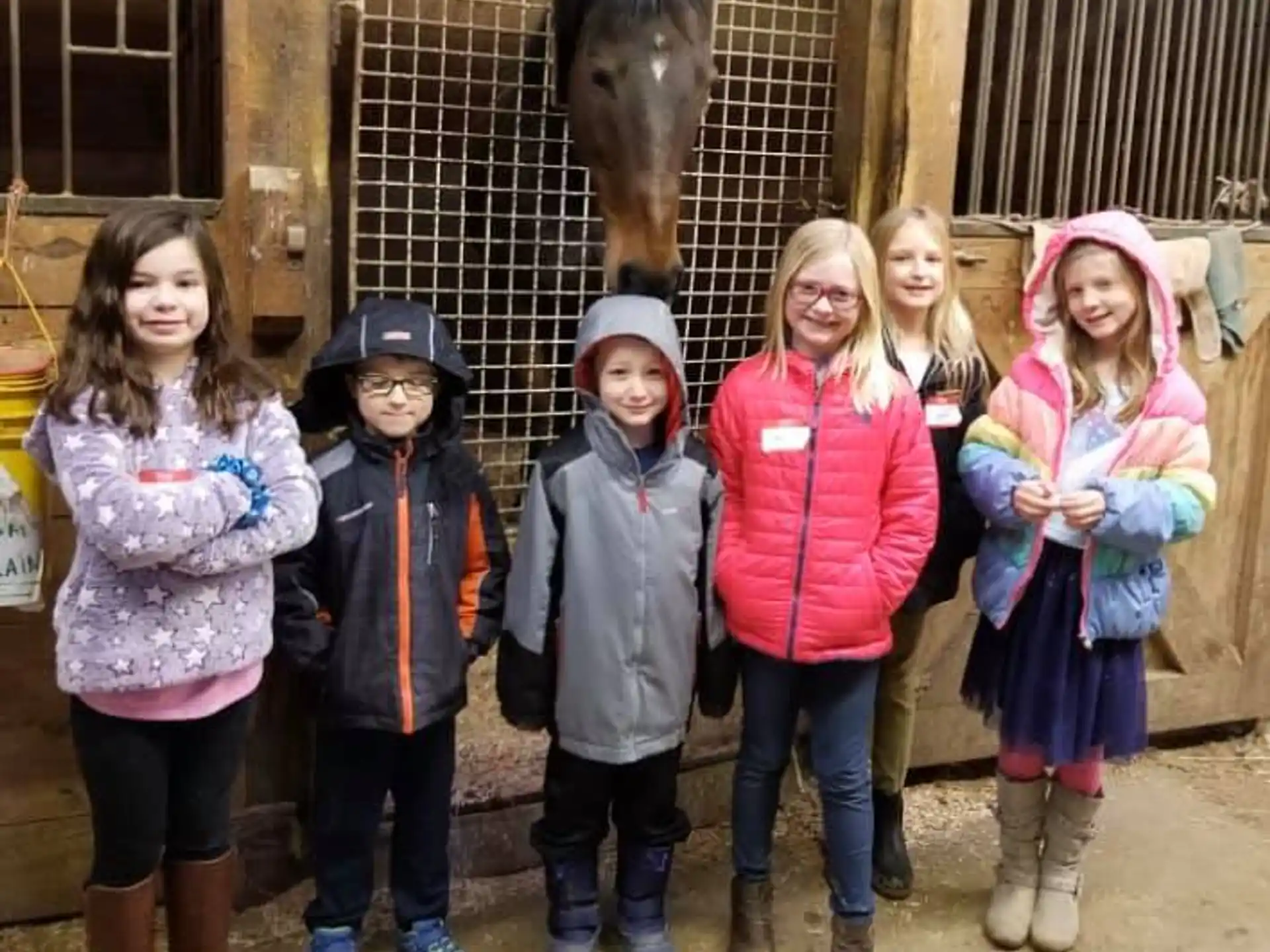a group of children posing for a photo in front of a horse