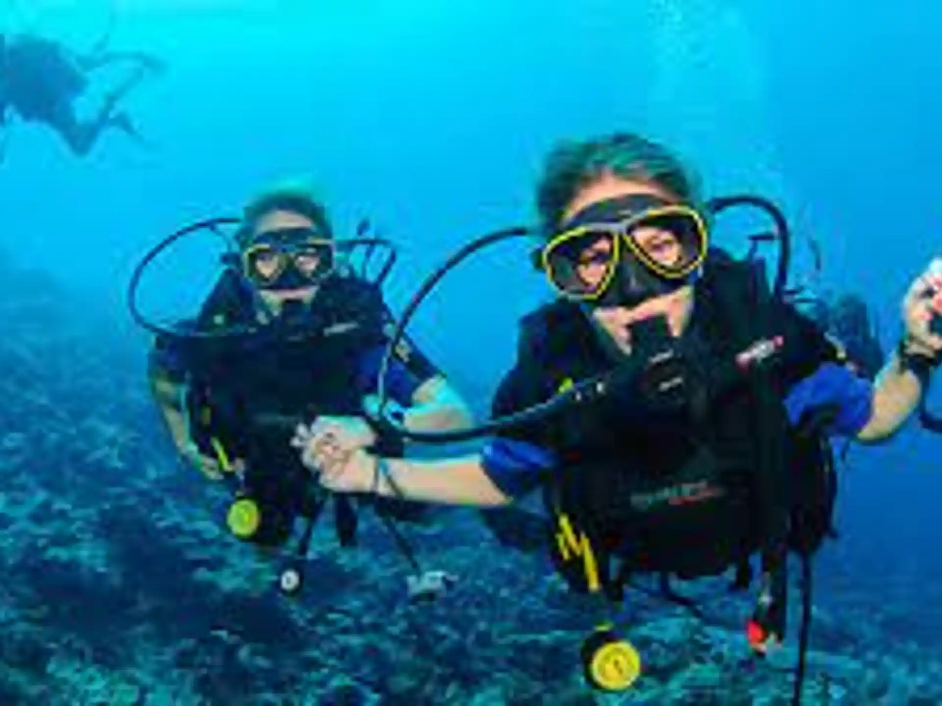 a few scuba divers in the water