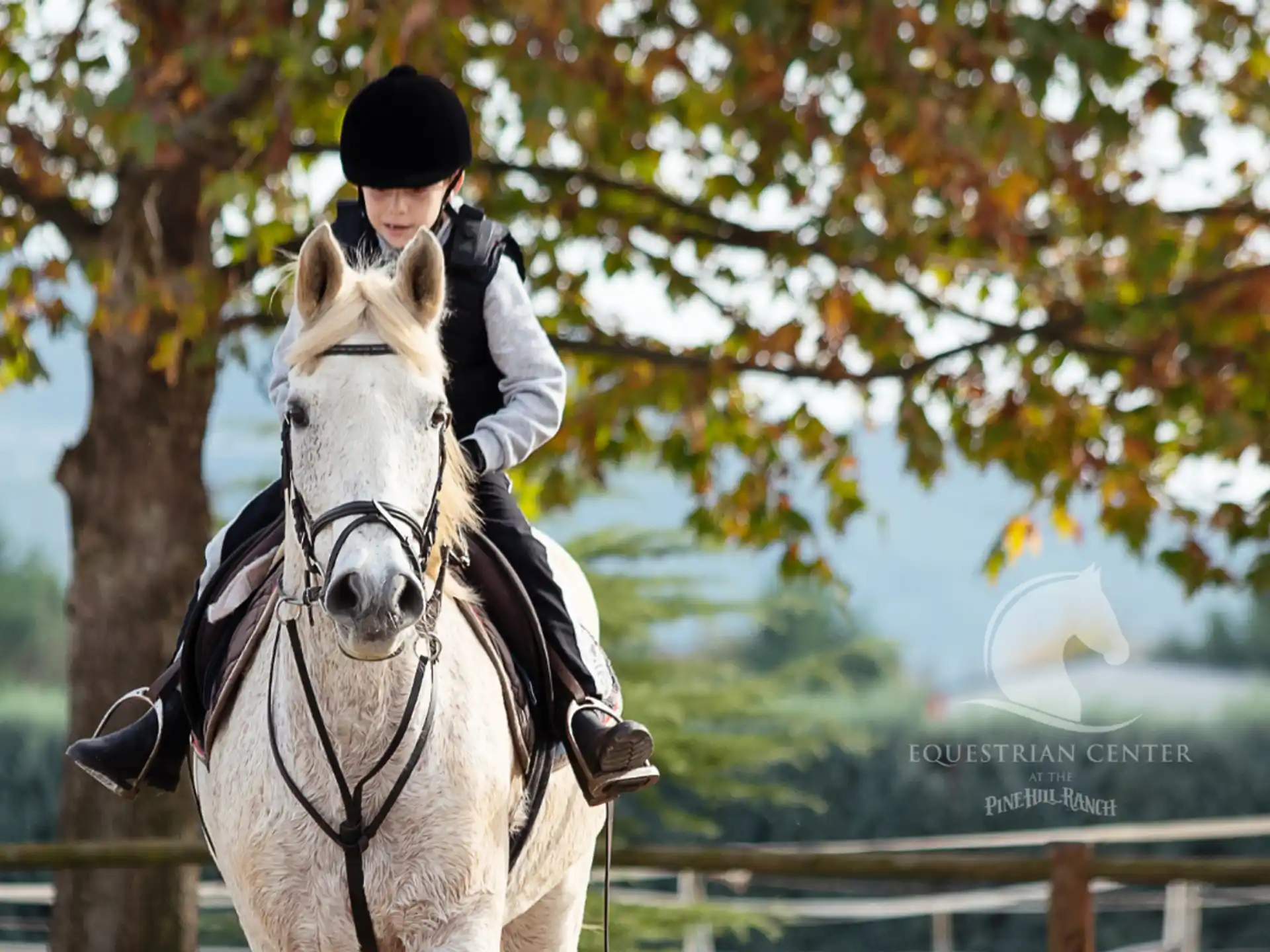 a person riding a horse
