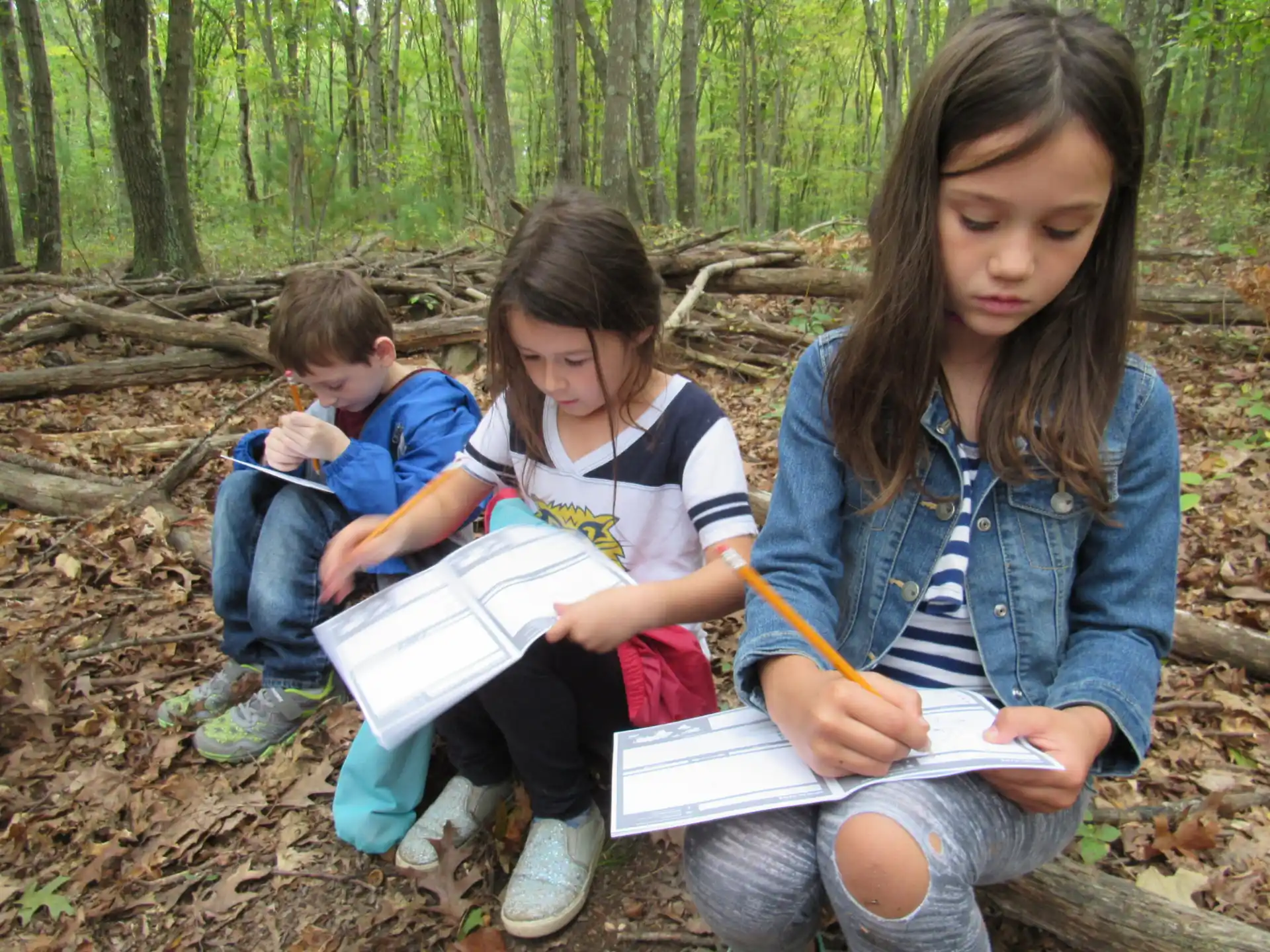 a person and two children sitting on a log in the woods
