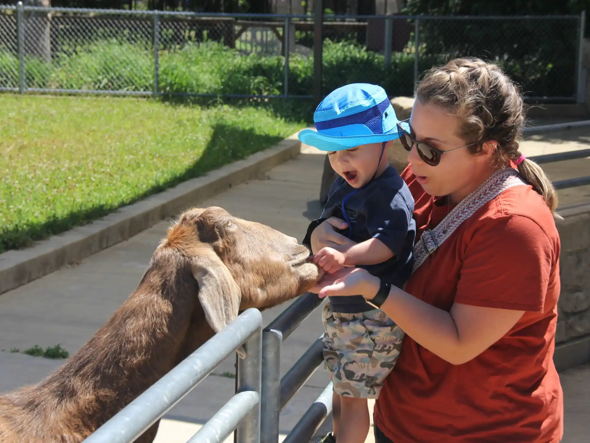 a person and a child petting a camel