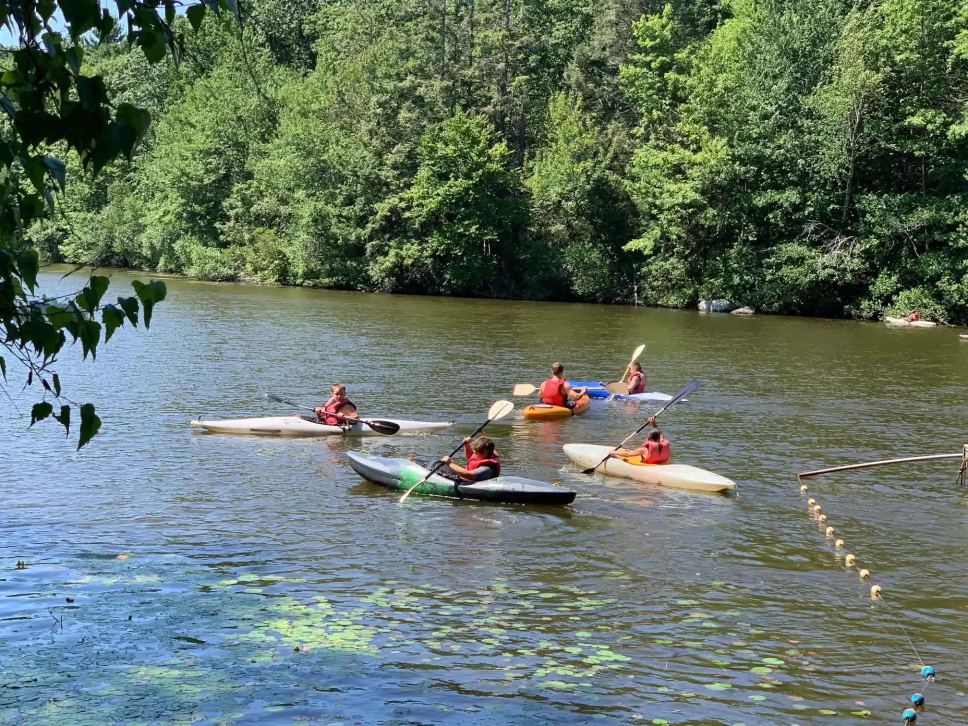 a group of people rowing on a river