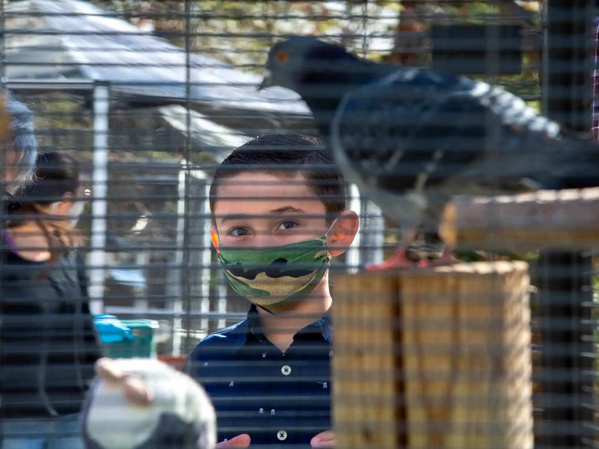 a bird on a person's face