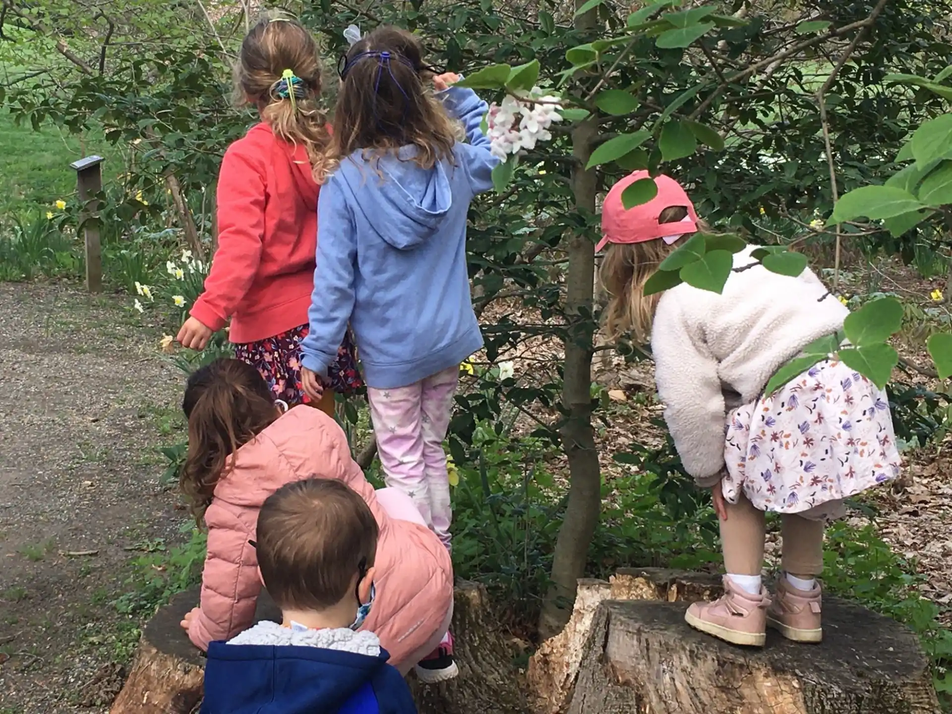 a group of children looking at a tree