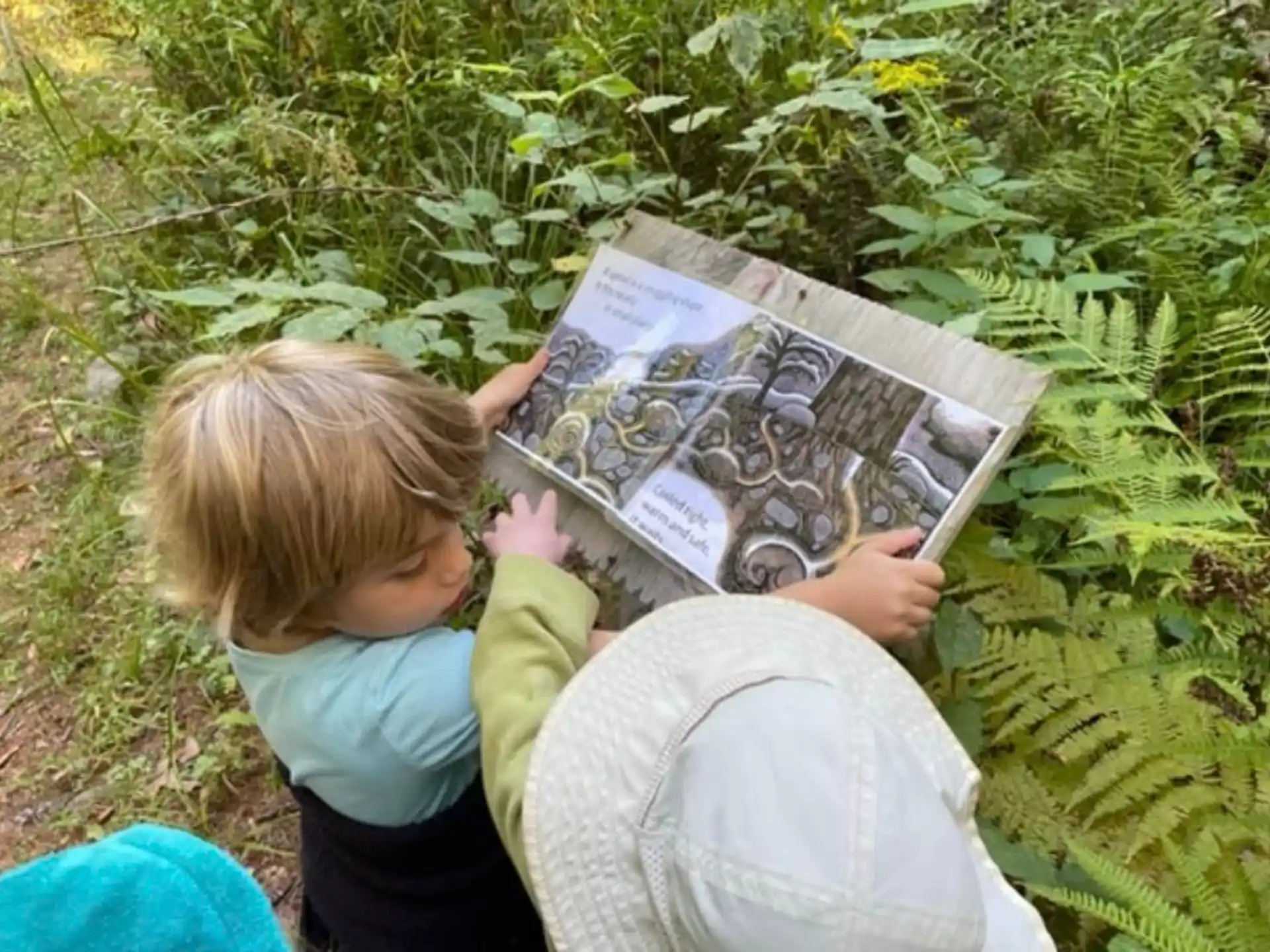 a child reading a book