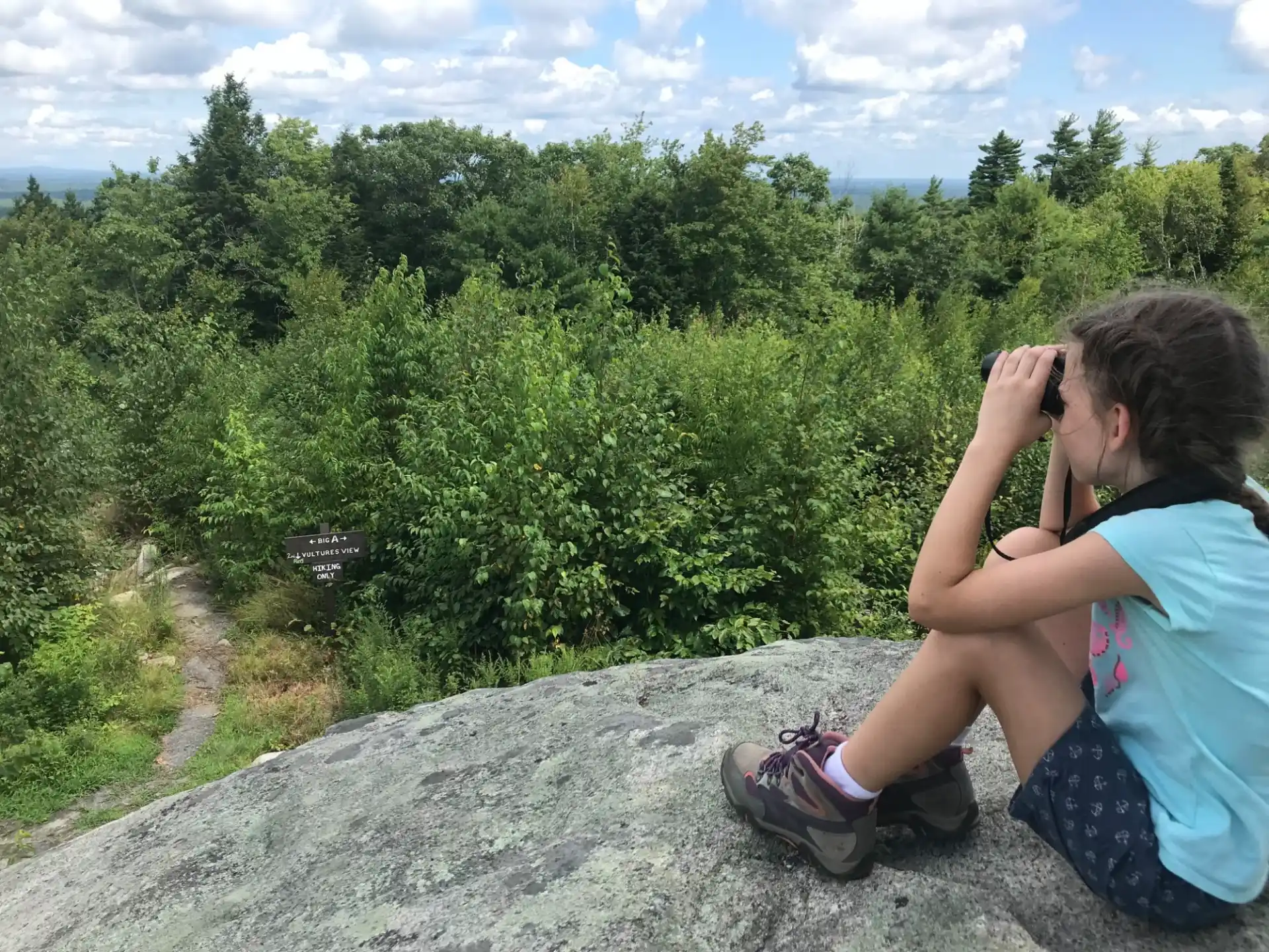 a person taking a picture of a forest