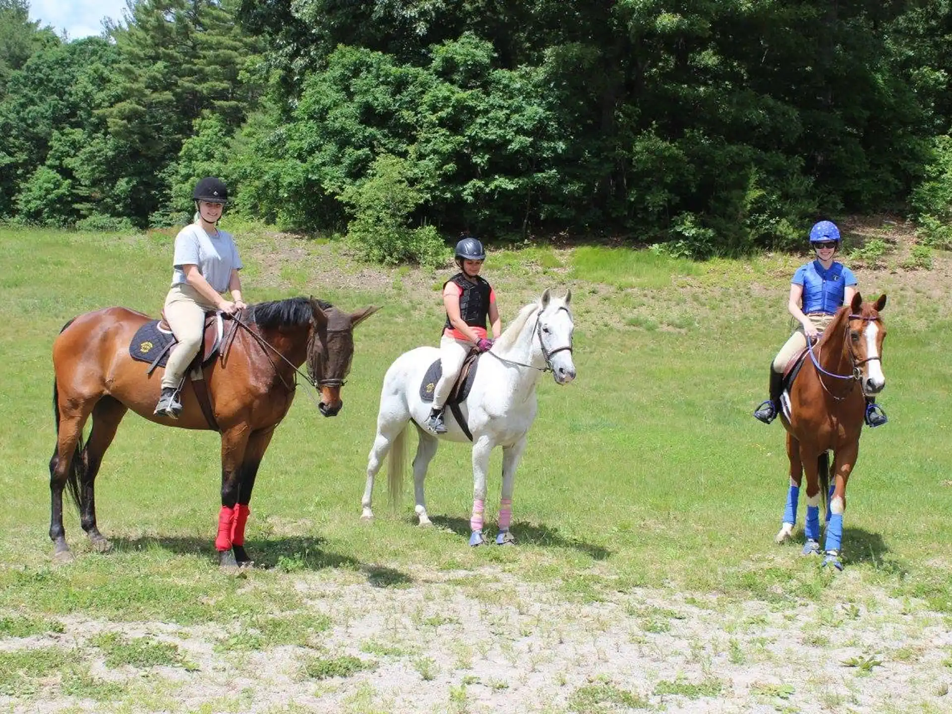 a group of people riding horses
