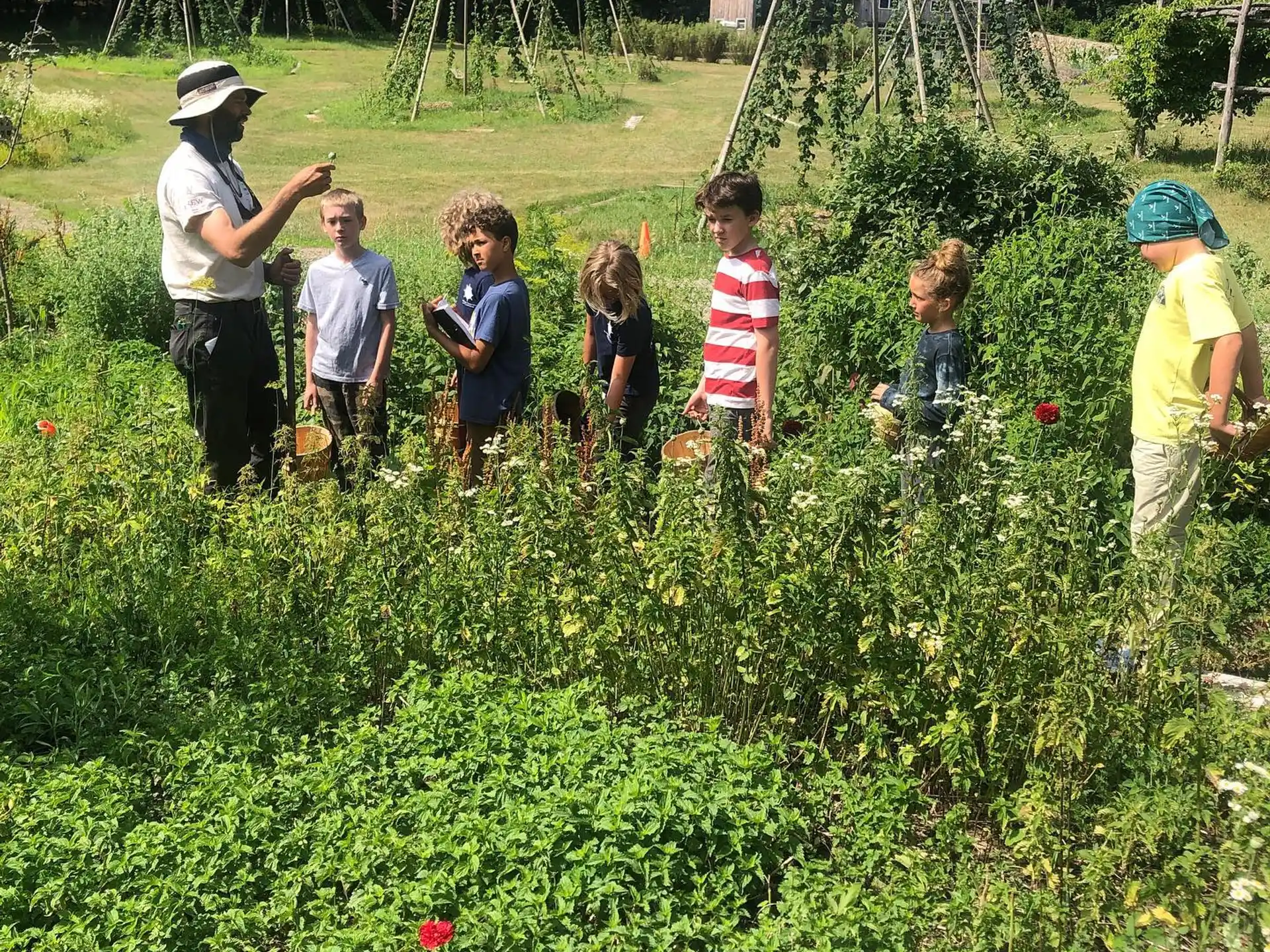 a group of people in a field