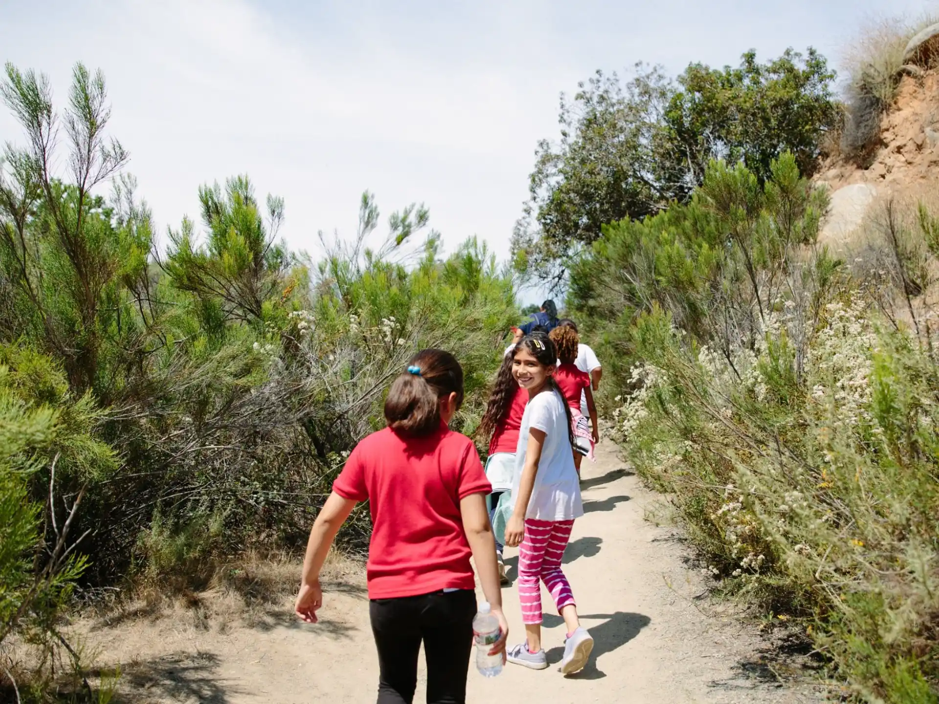 a group of people walking on a dirt path in the woods