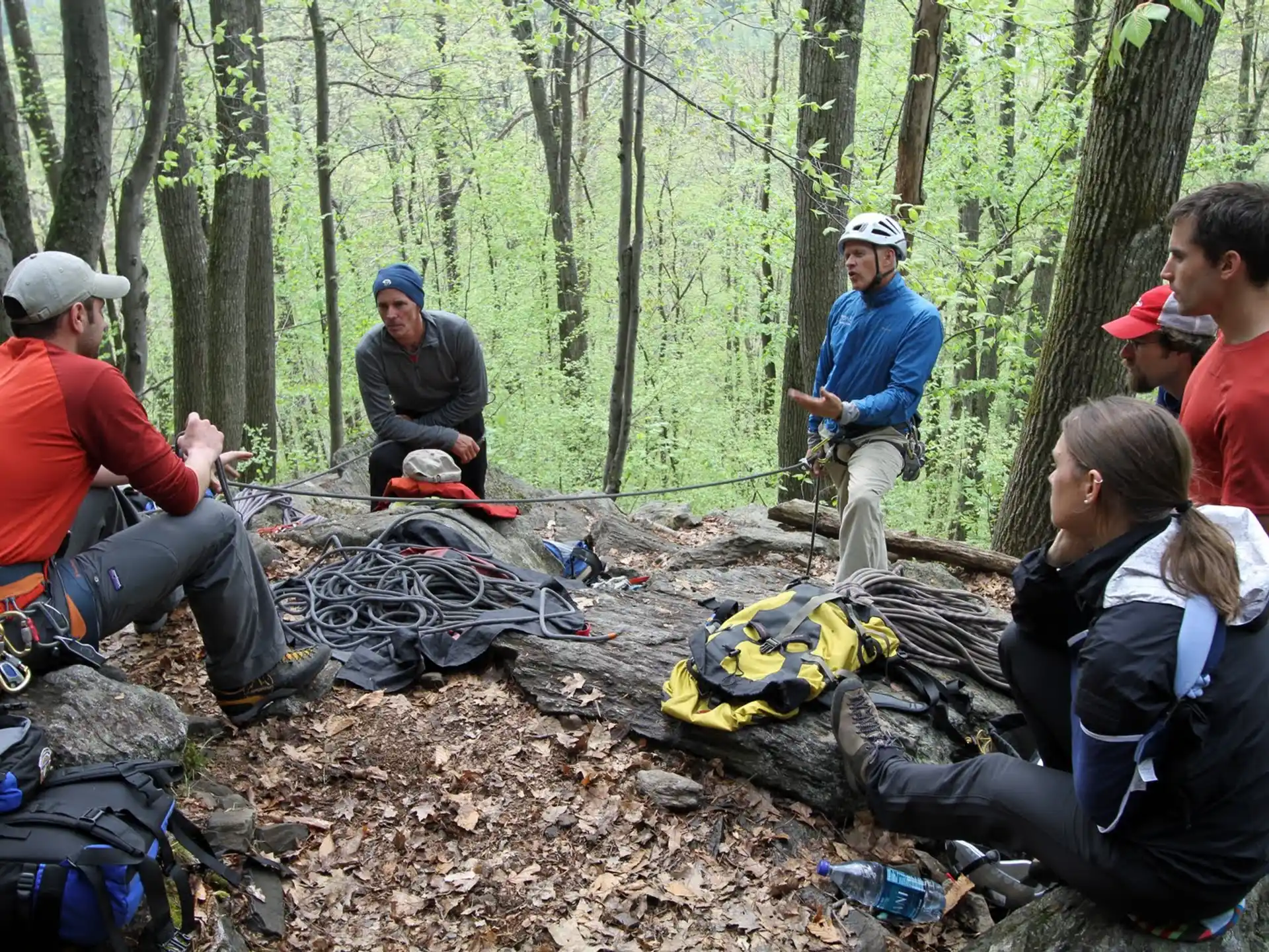 a group of people in the woods