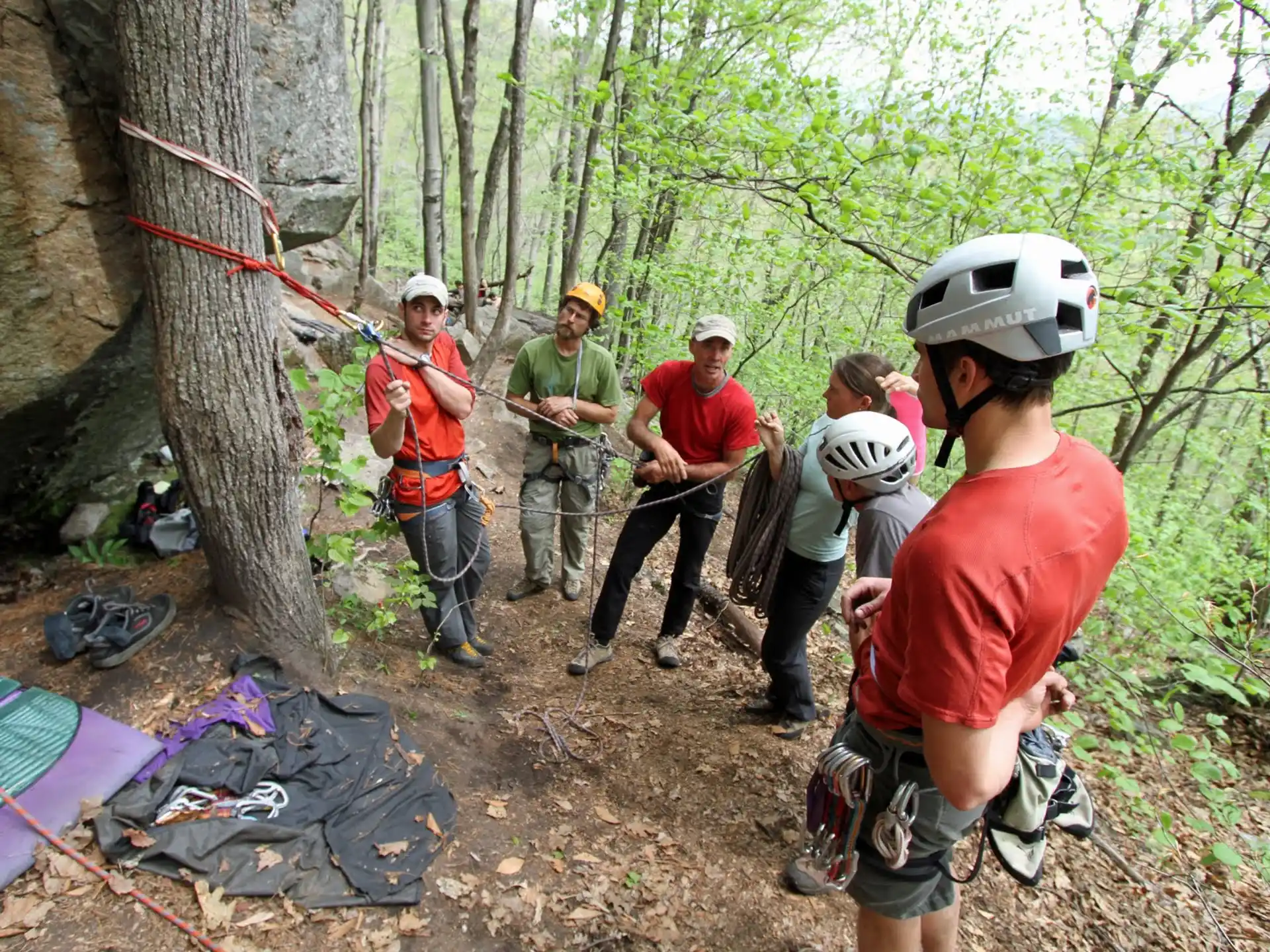 a group of people in the woods