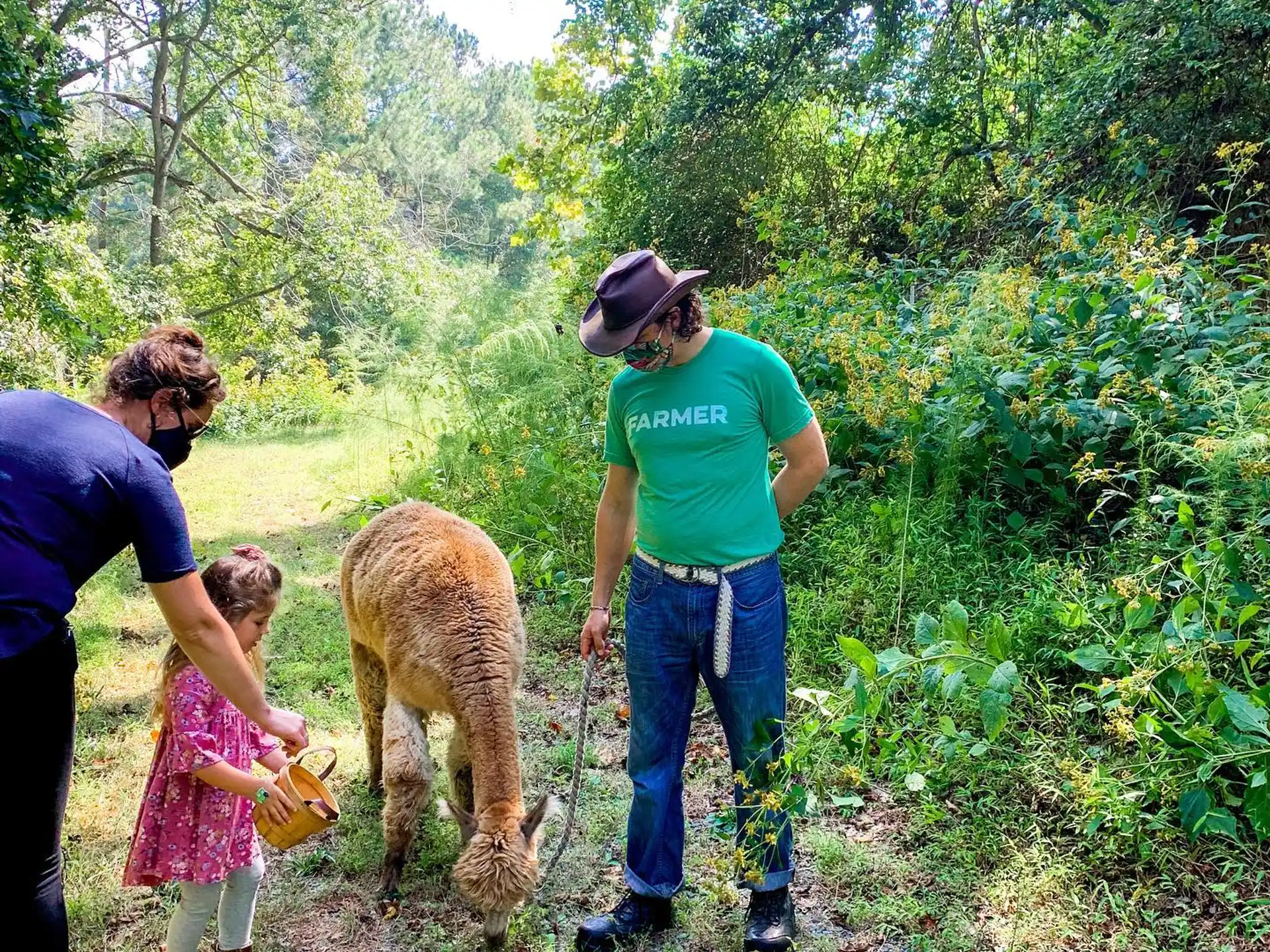 a group of people and a dog in a forest