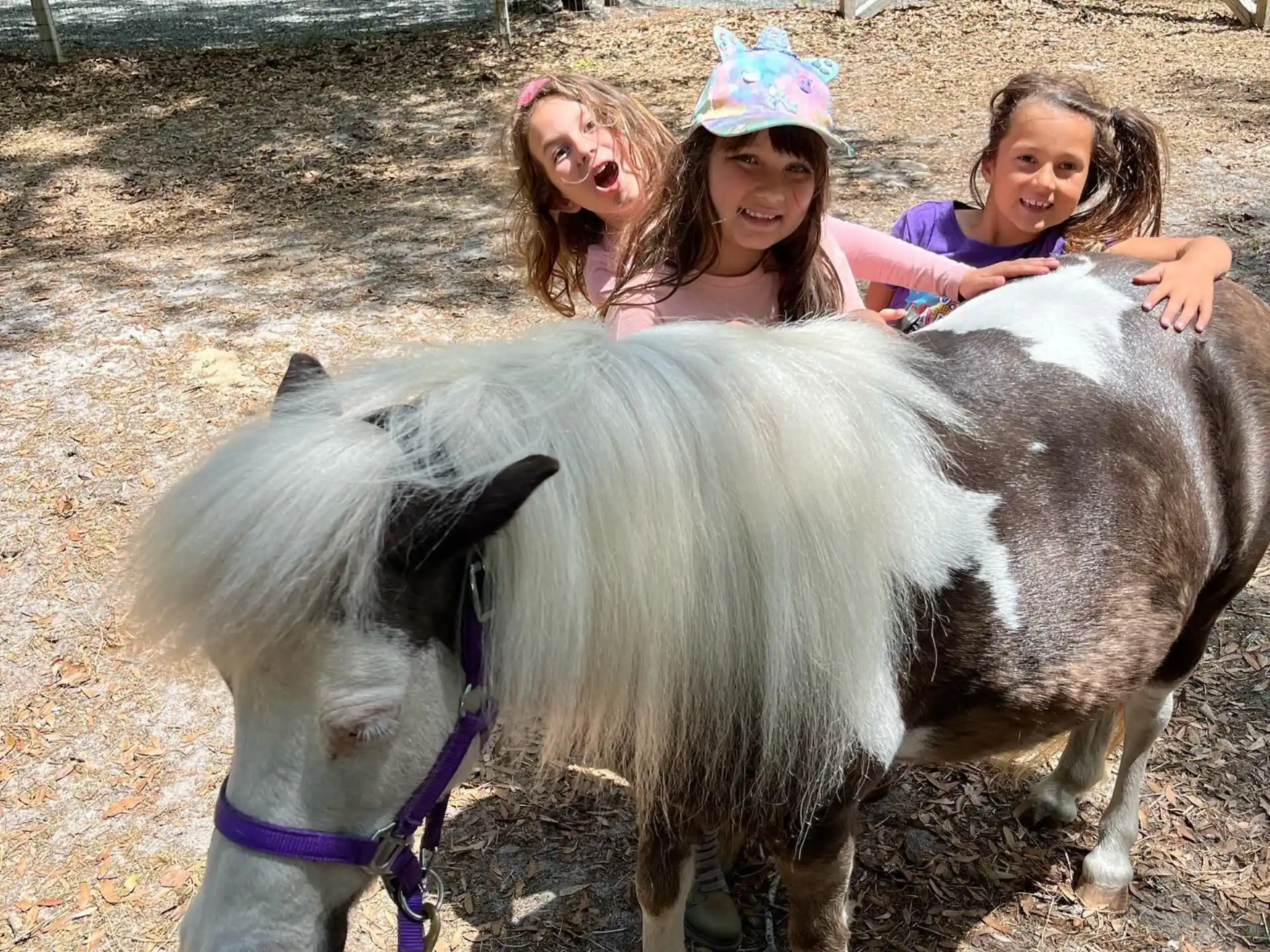 a couple of girls hugging a donkey