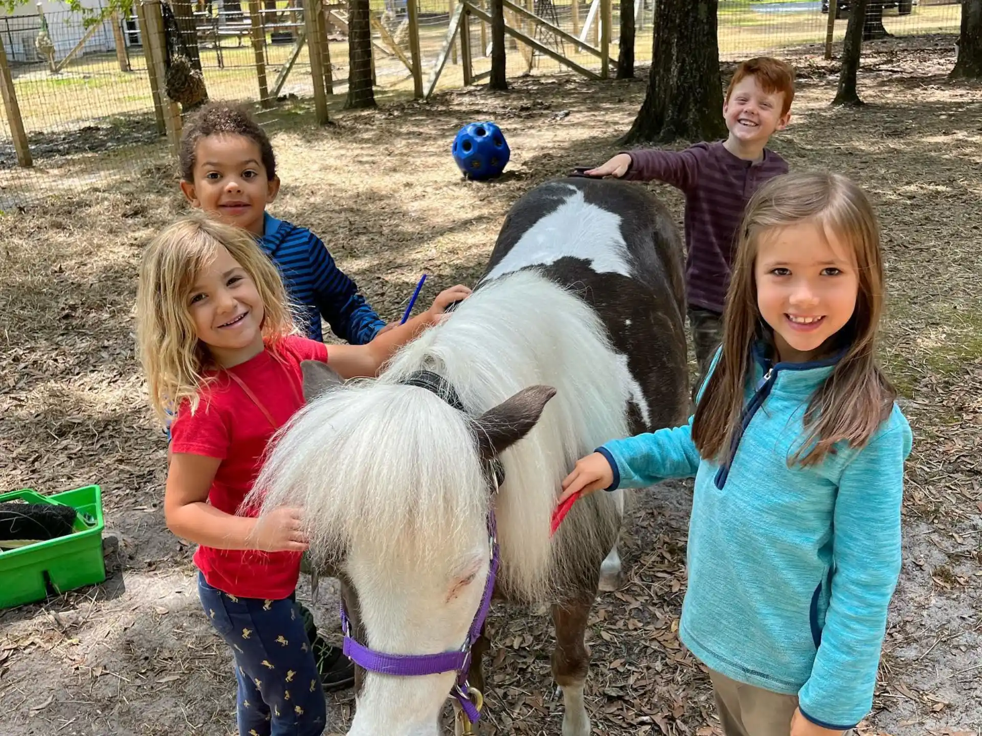 a group of children petting a donkey