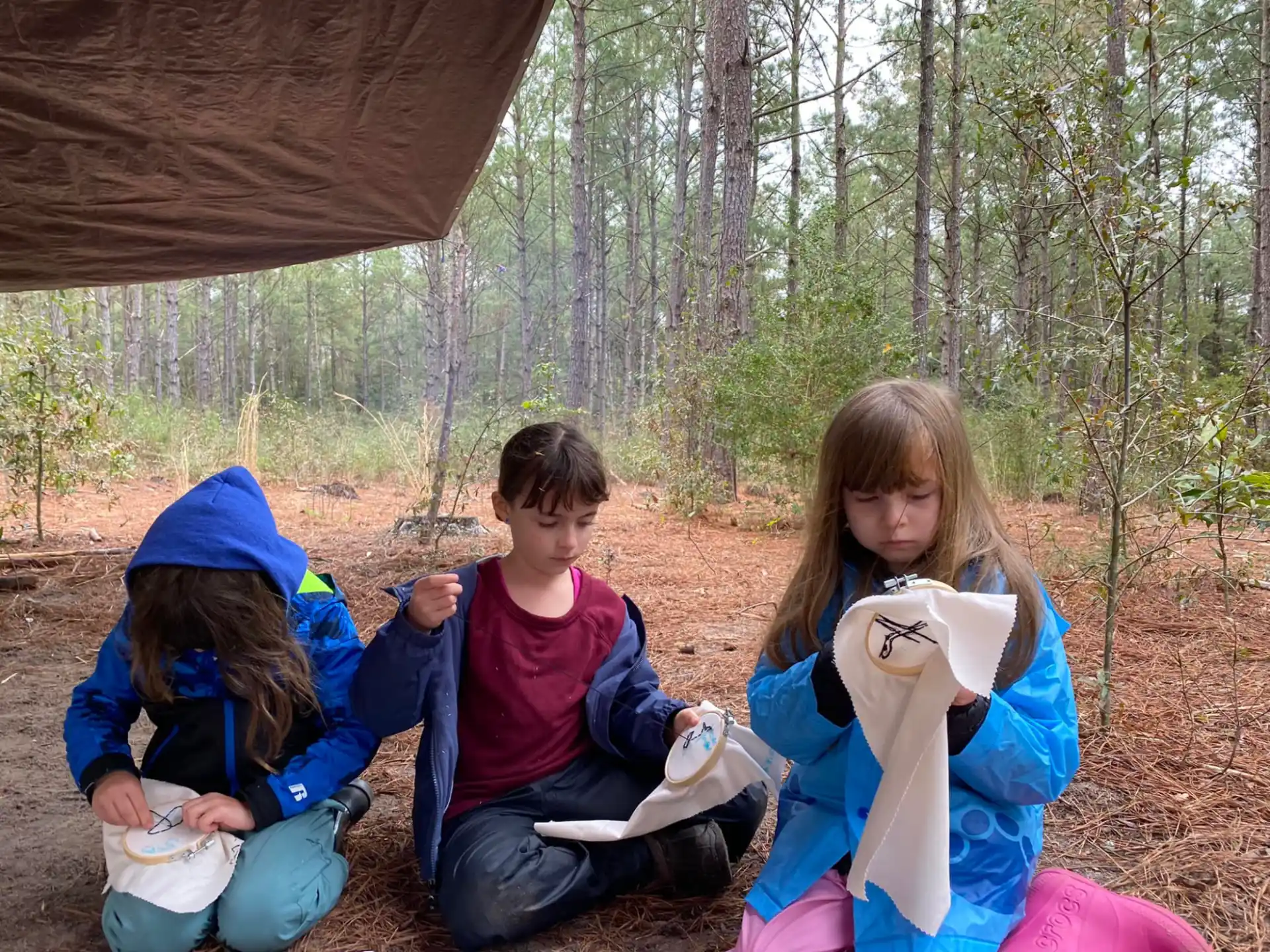 a group of children sitting in the woods
