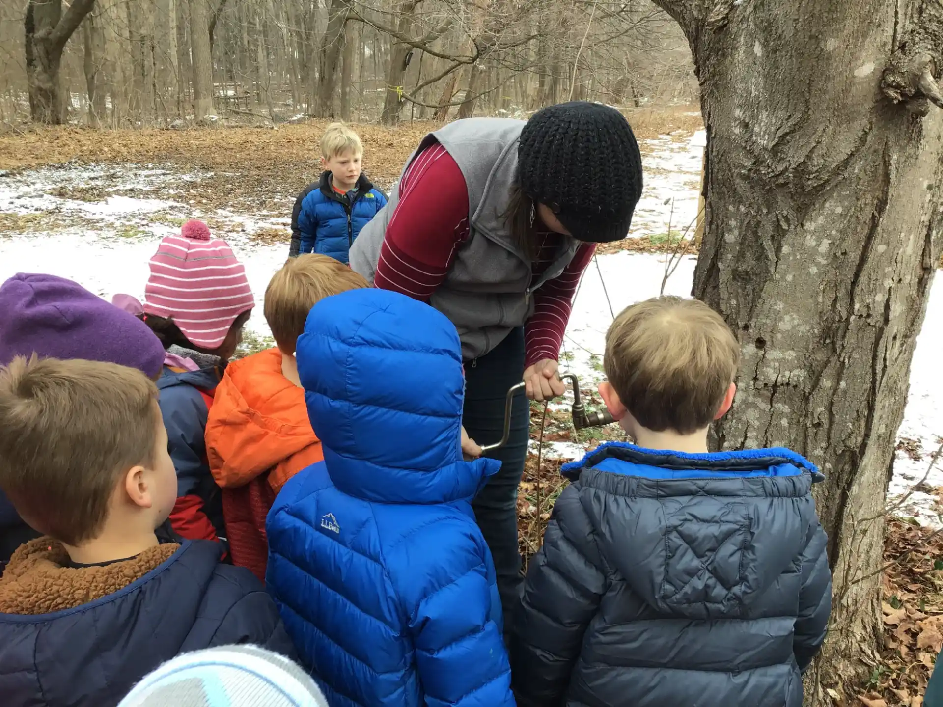 a group of children sitting around a tree