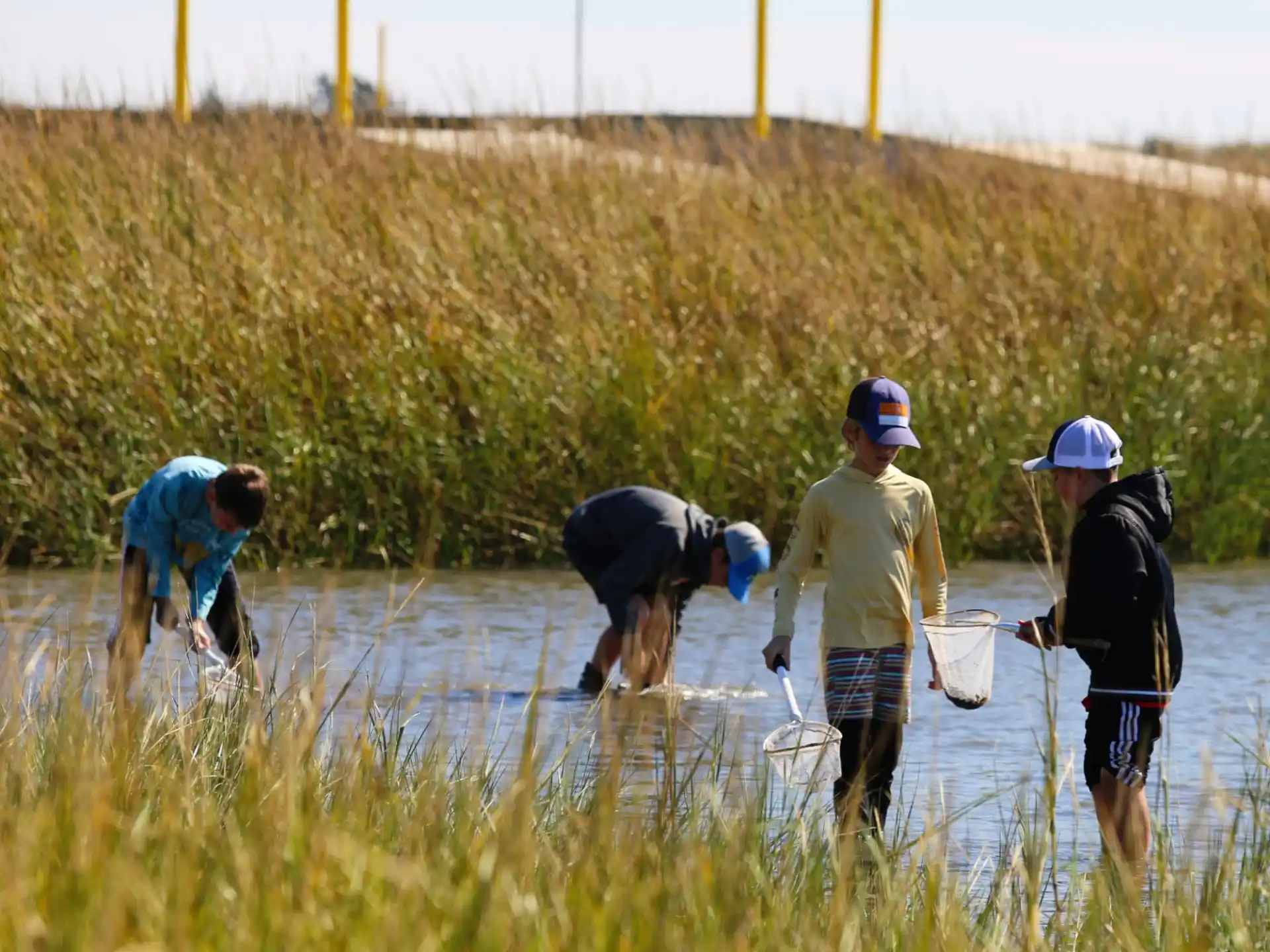 a group of people working in a field