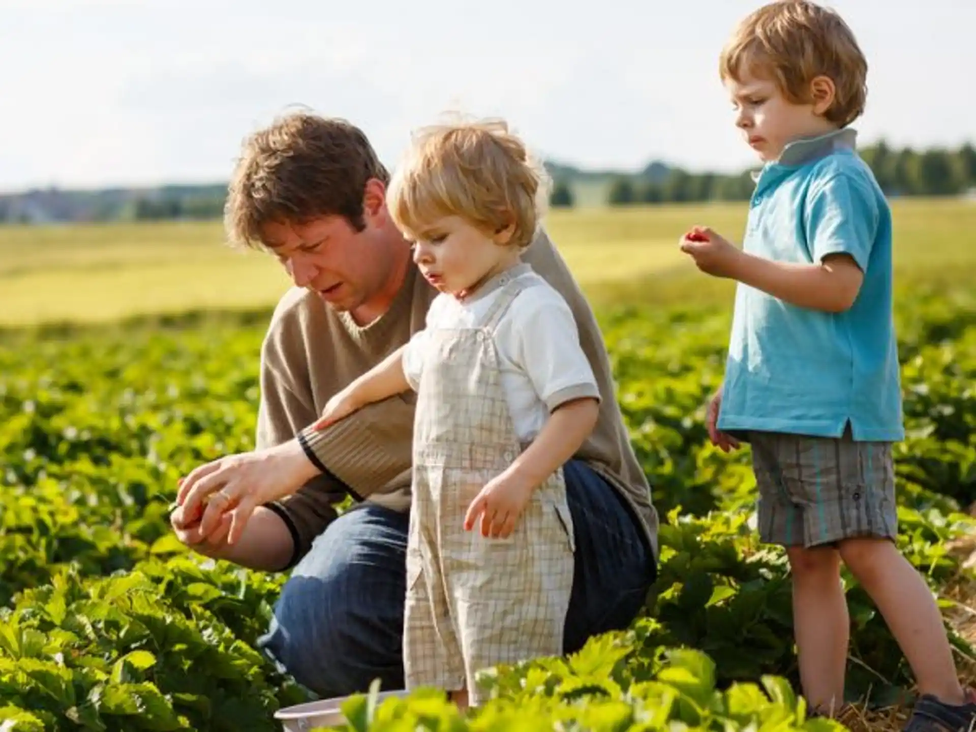 a group of children in a field