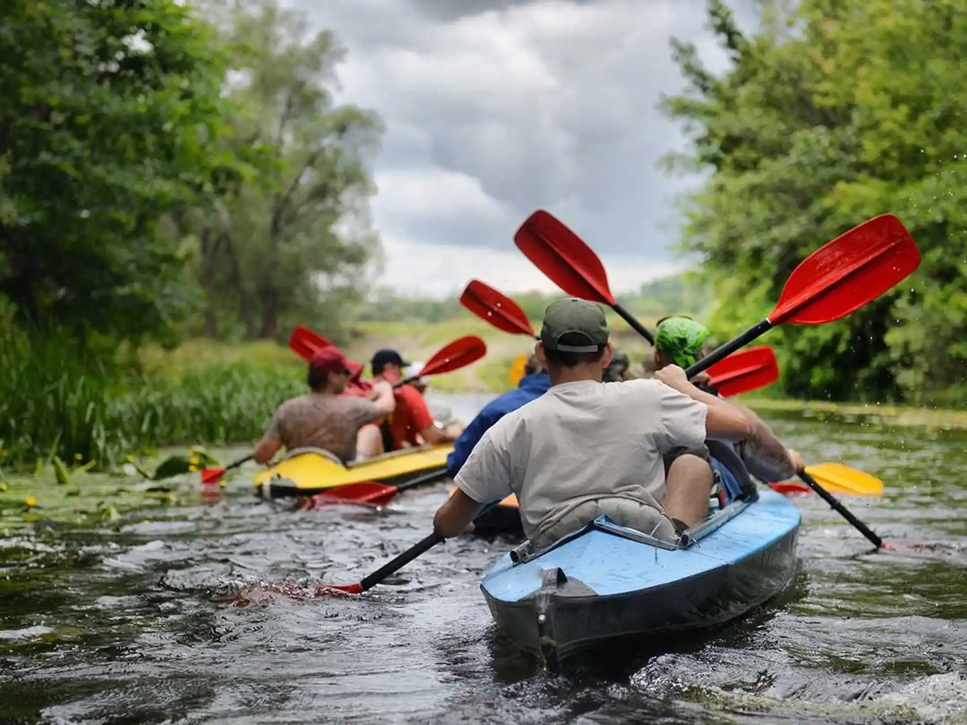 a group of people in kayaks on a river