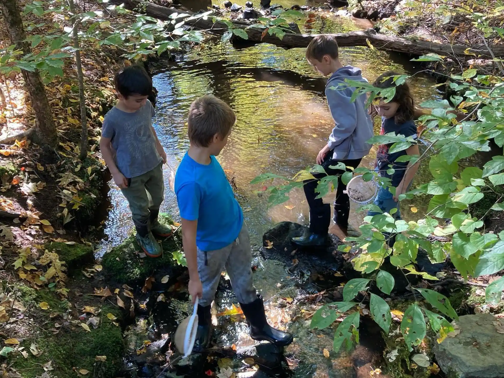 a group of boys walking on a path in the woods