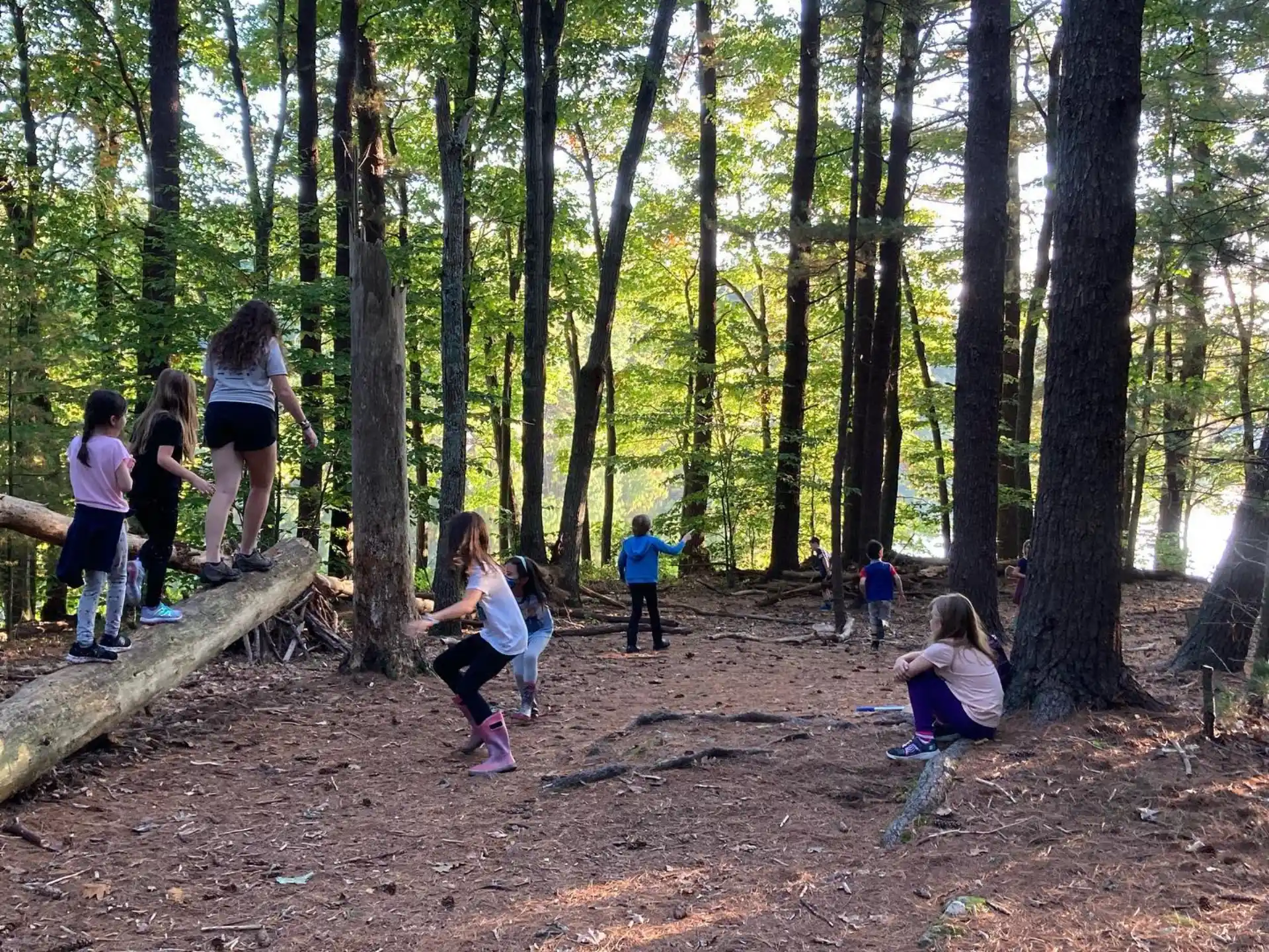 a group of people playing in the woods