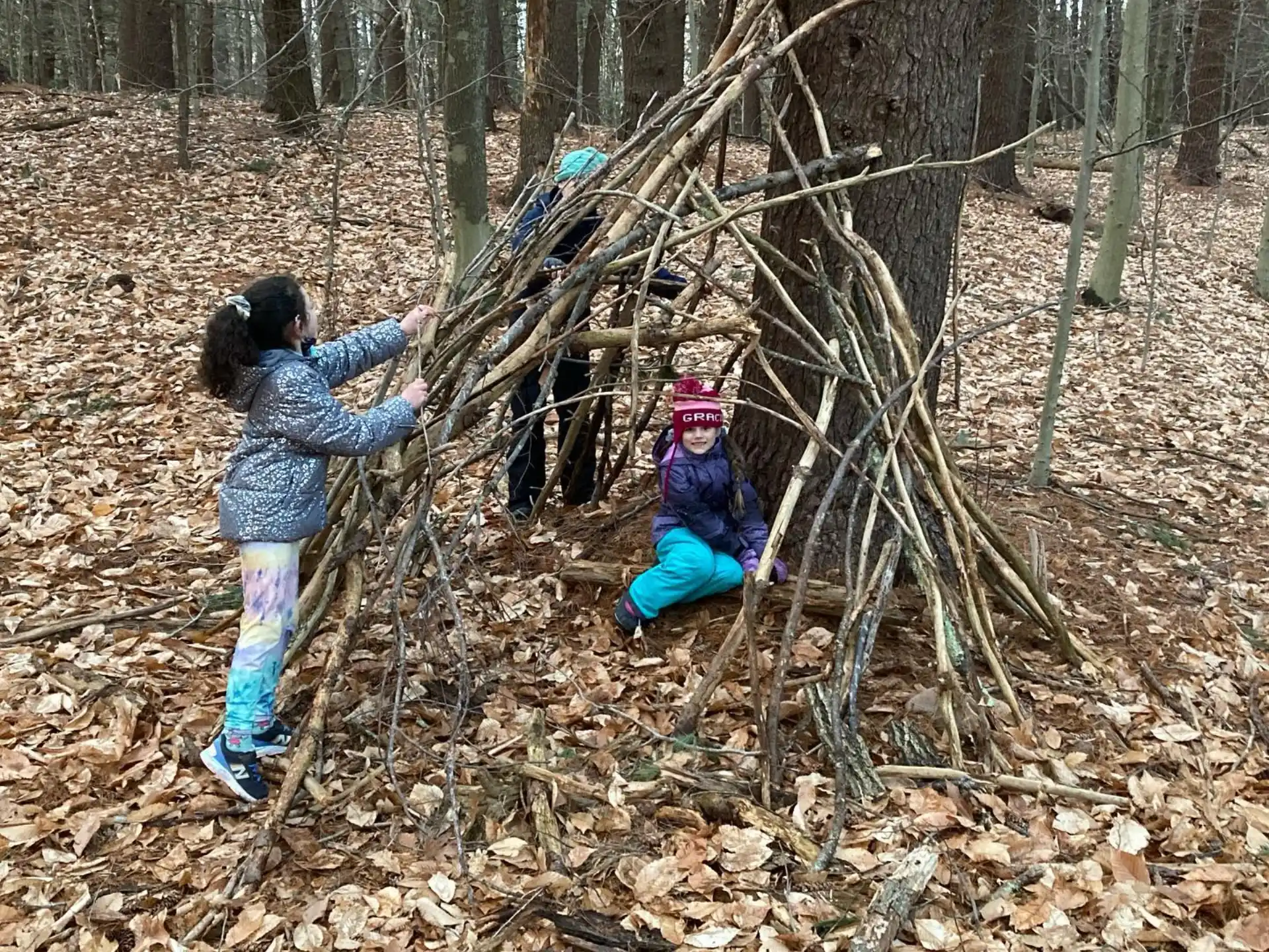 a person and a child playing in a hammock in the woods