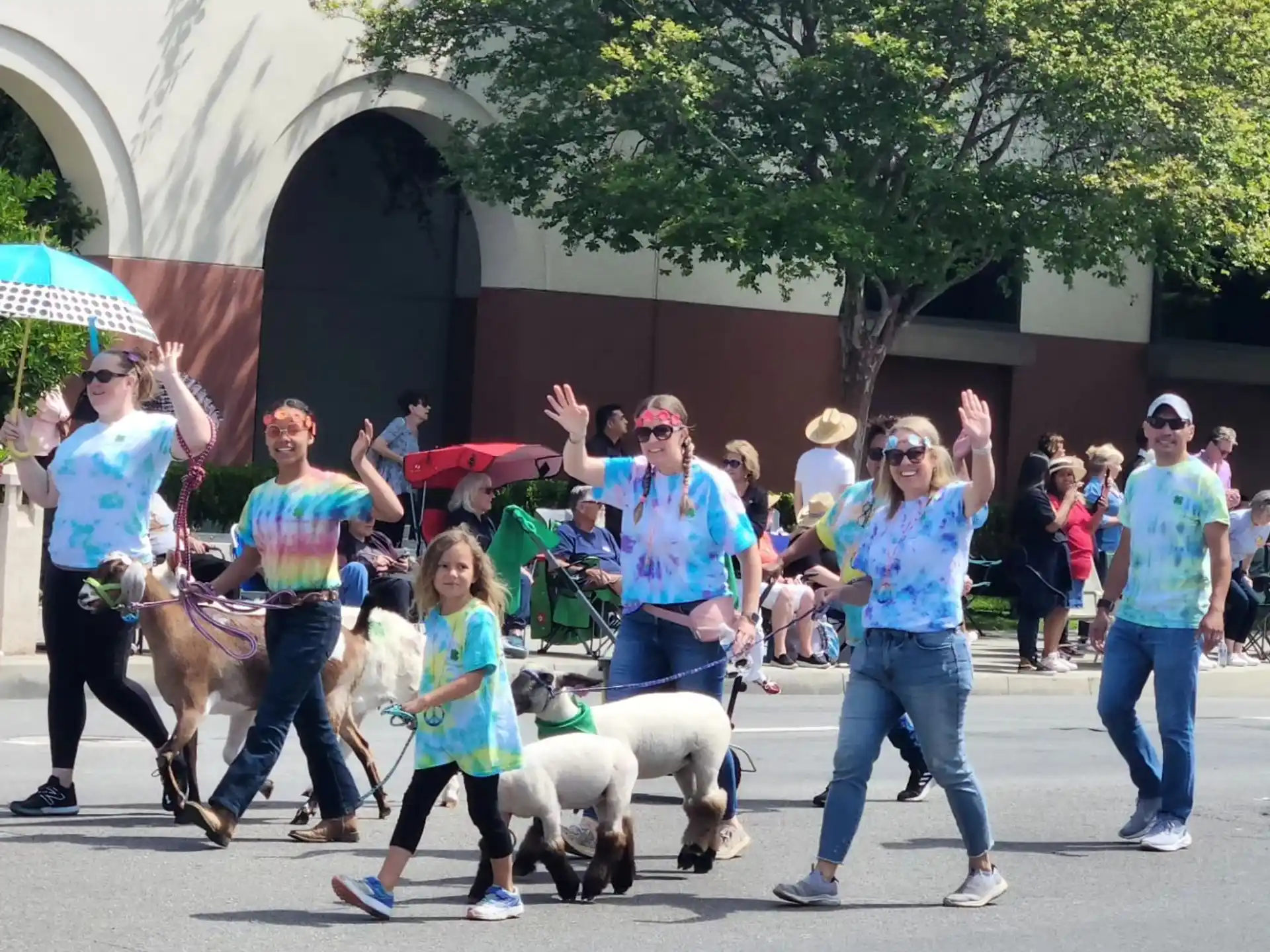 a group of people walking with dogs