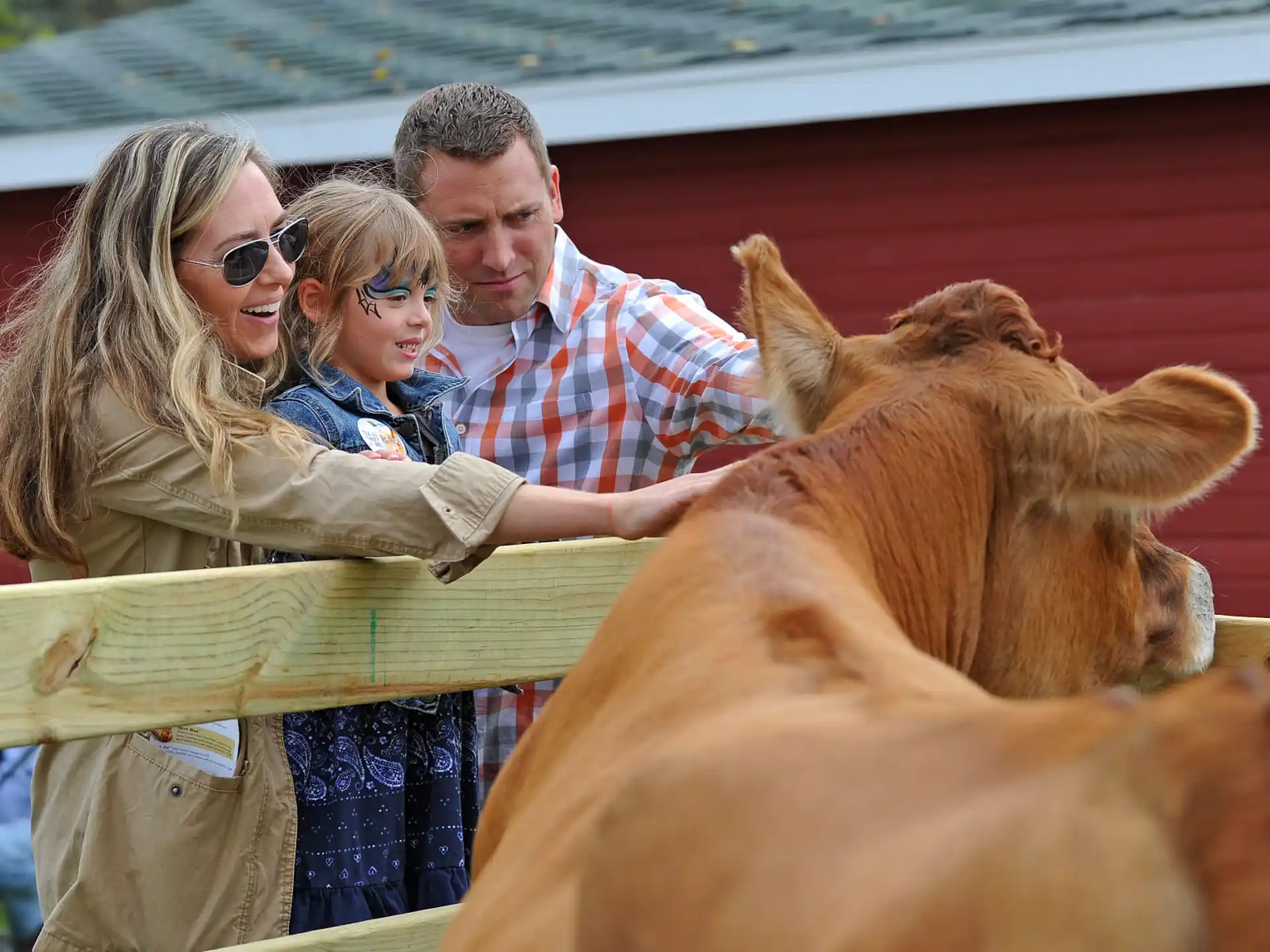 a group of people standing next to a cow