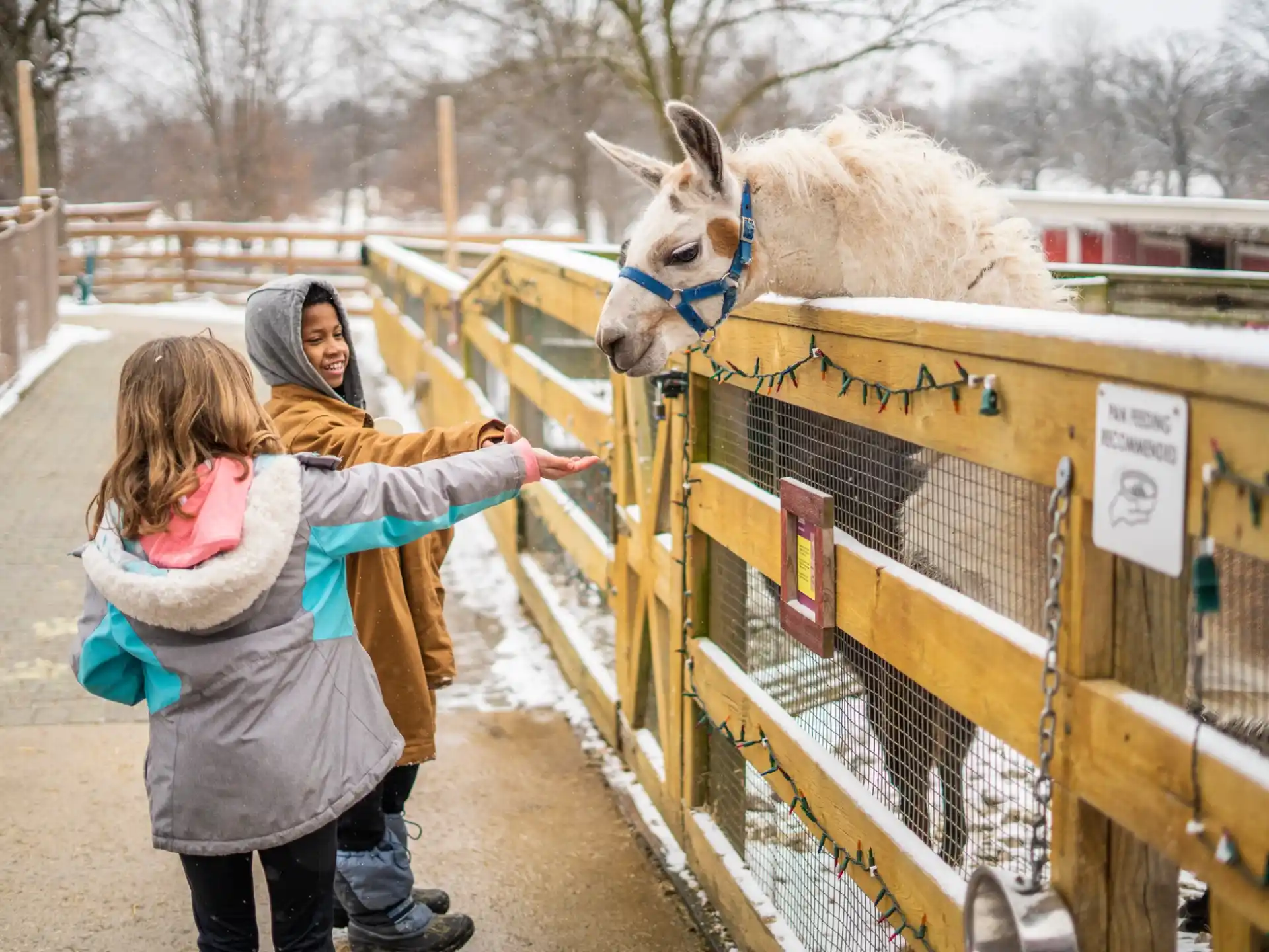 a person and a girl petting a horse in a pen