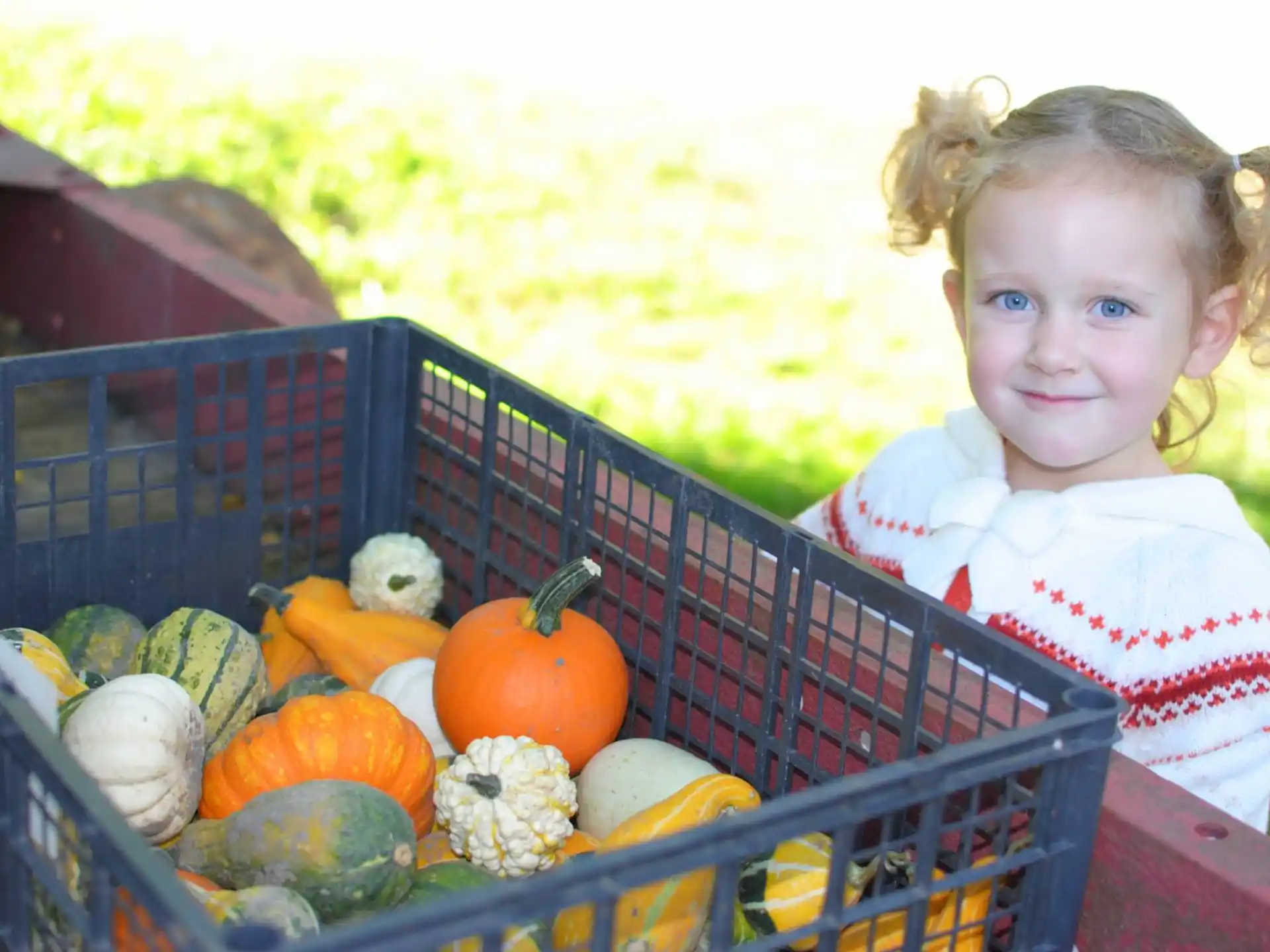a girl in a wagon full of pumpkins