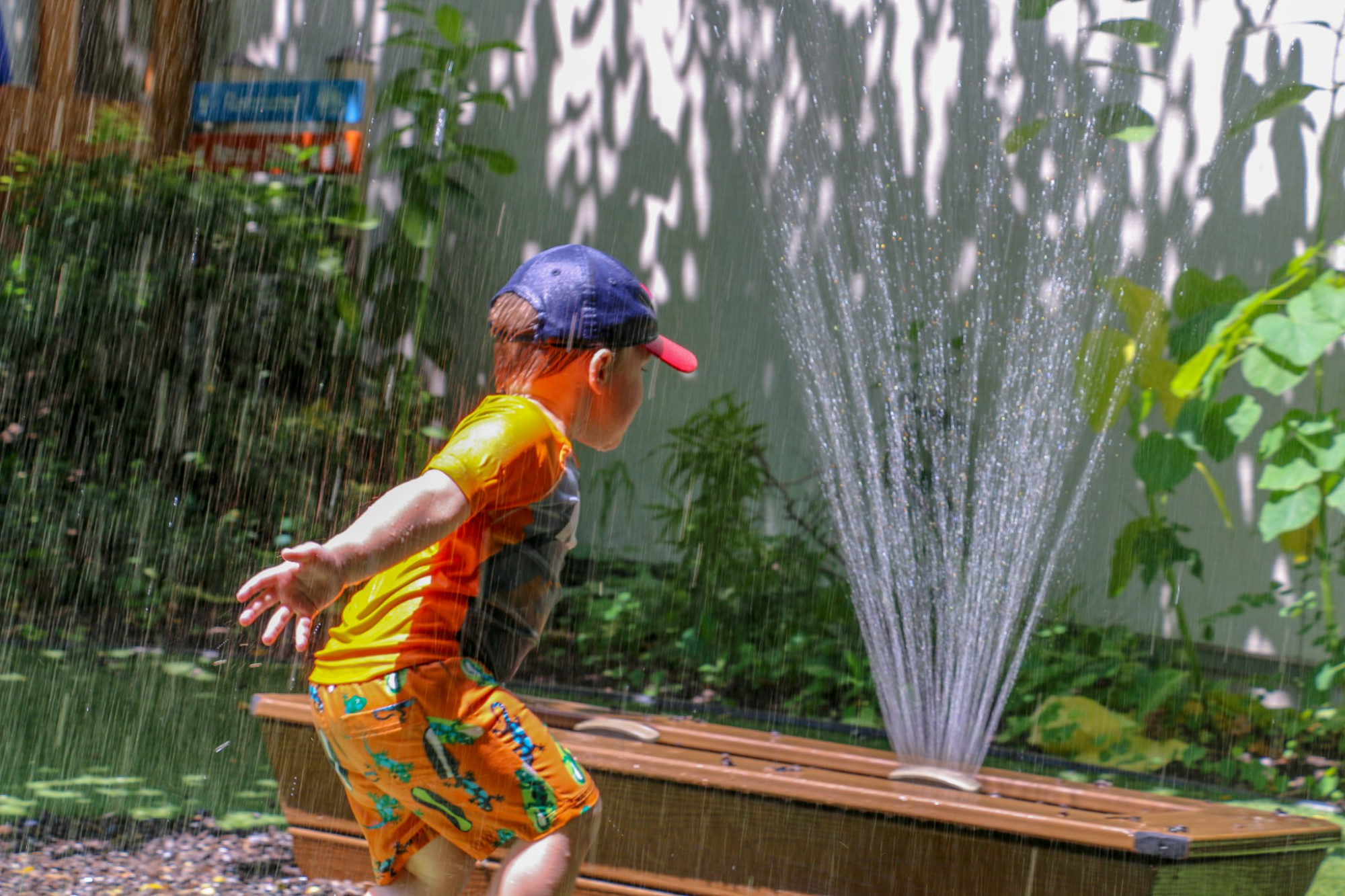 a person spraying water on a fence