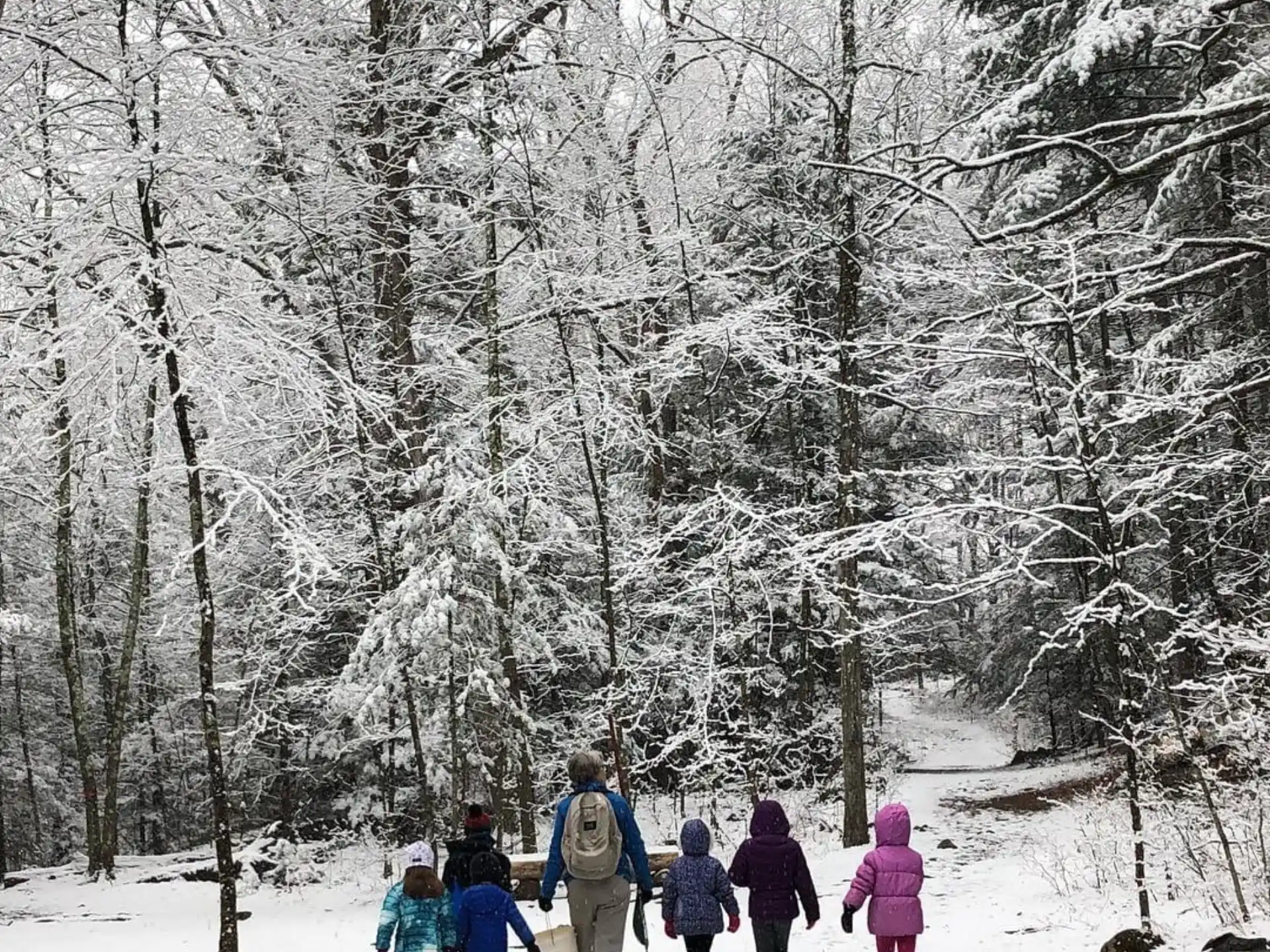 a group of people walking in the snow