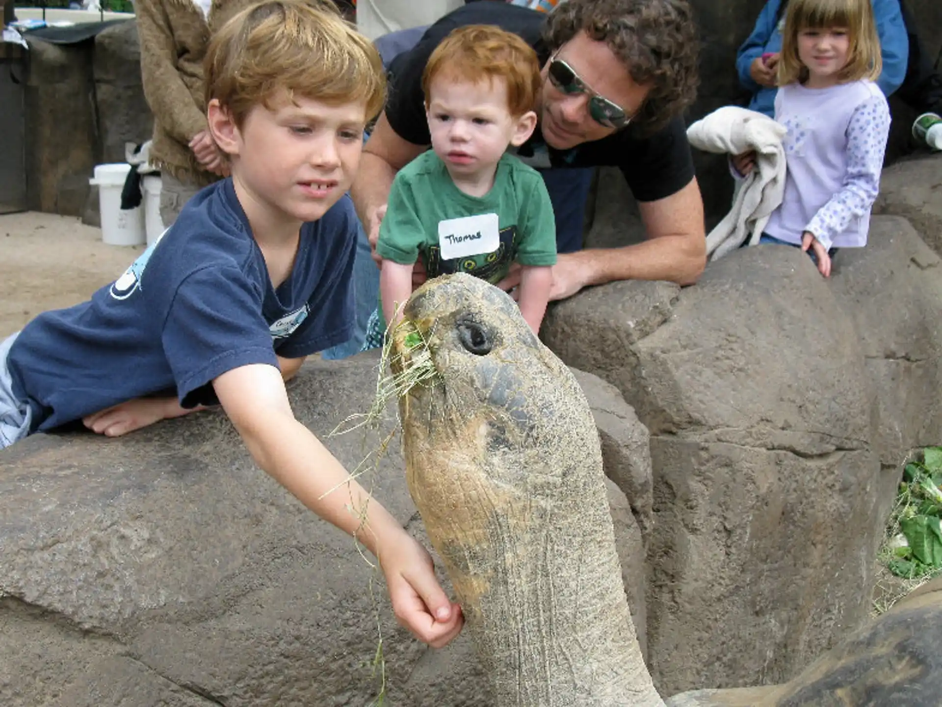 a group of kids looking at a lizard