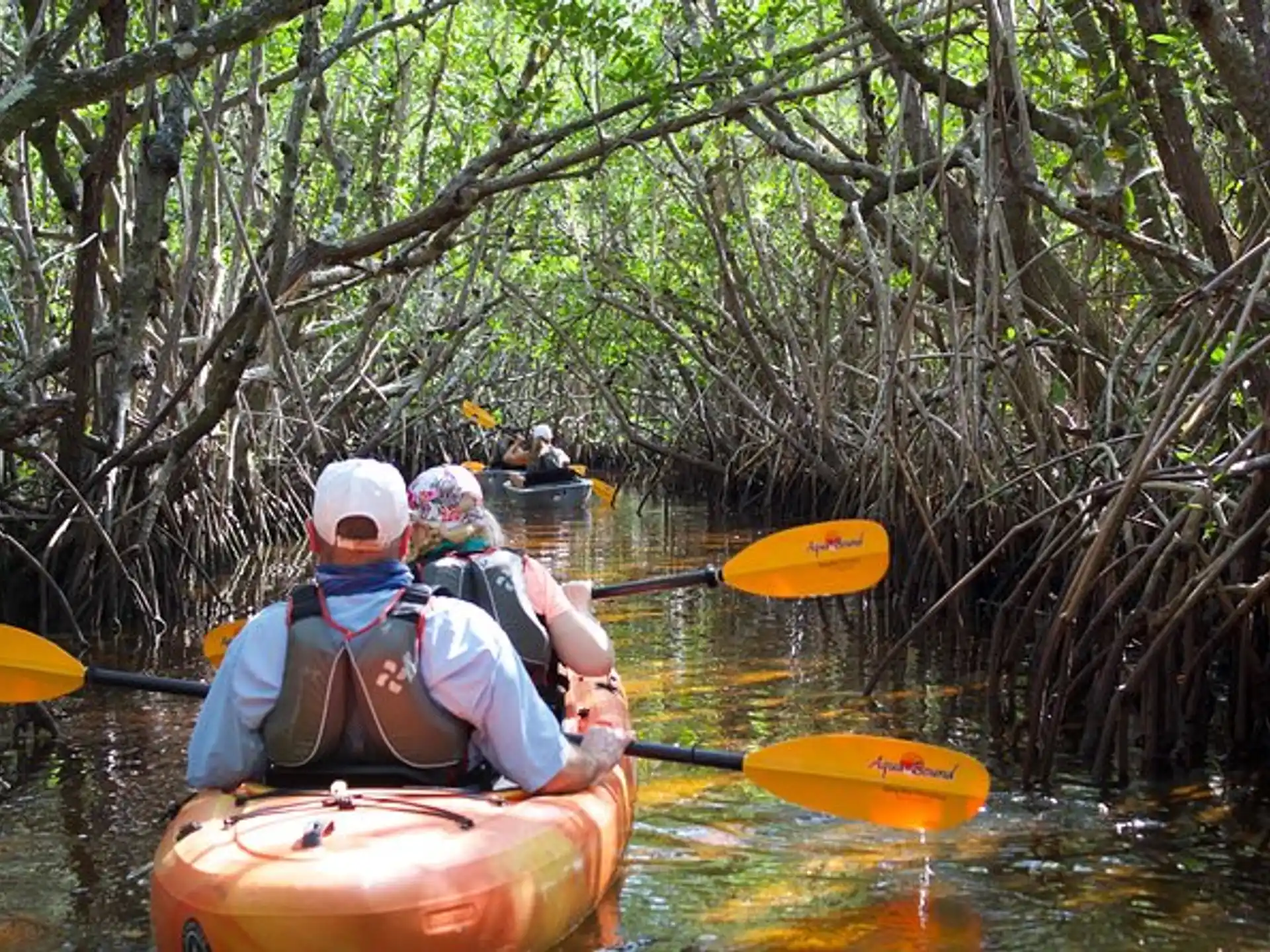 people in kayaks on a river