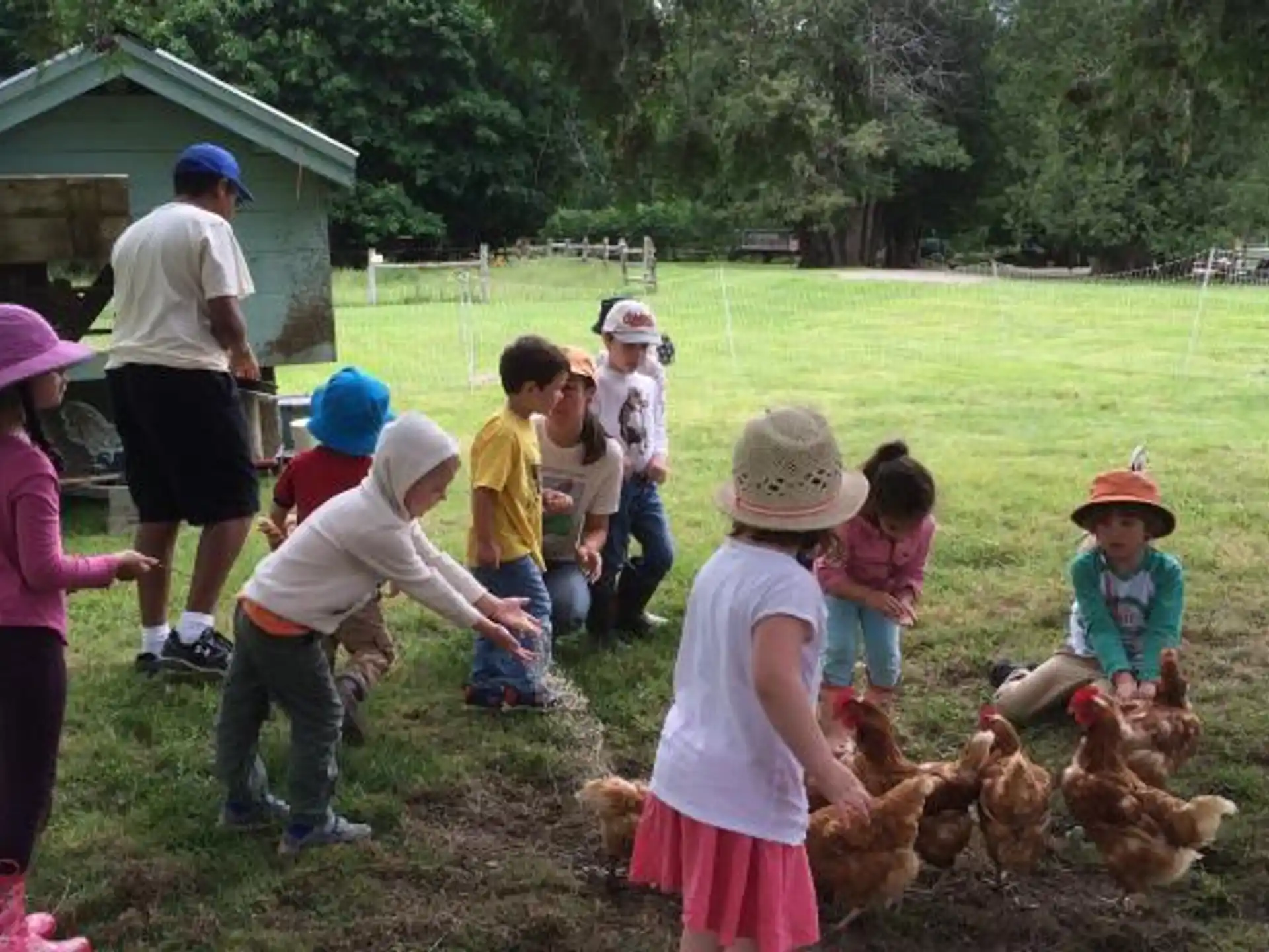 a group of children and adults with chickens
