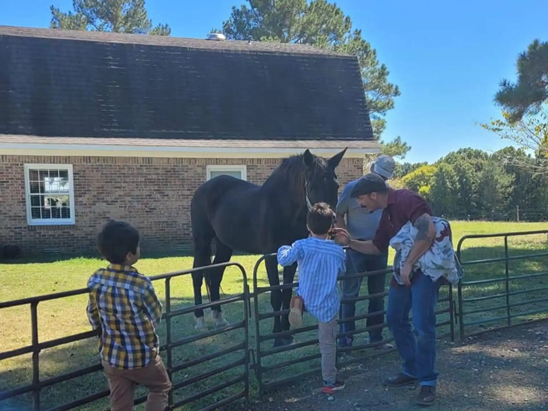 a group of people petting a horse through a fence
