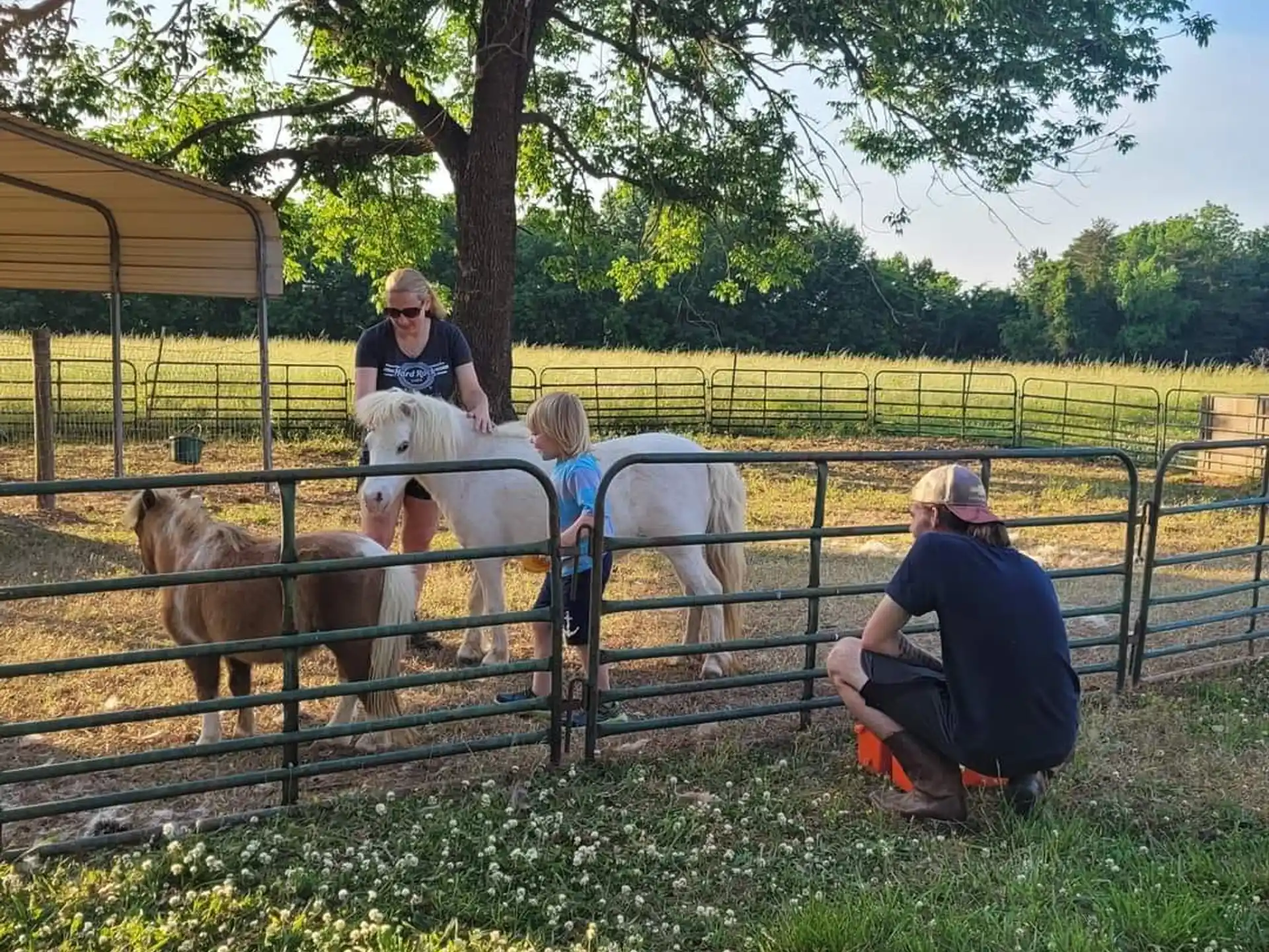a group of people stand around some horses
