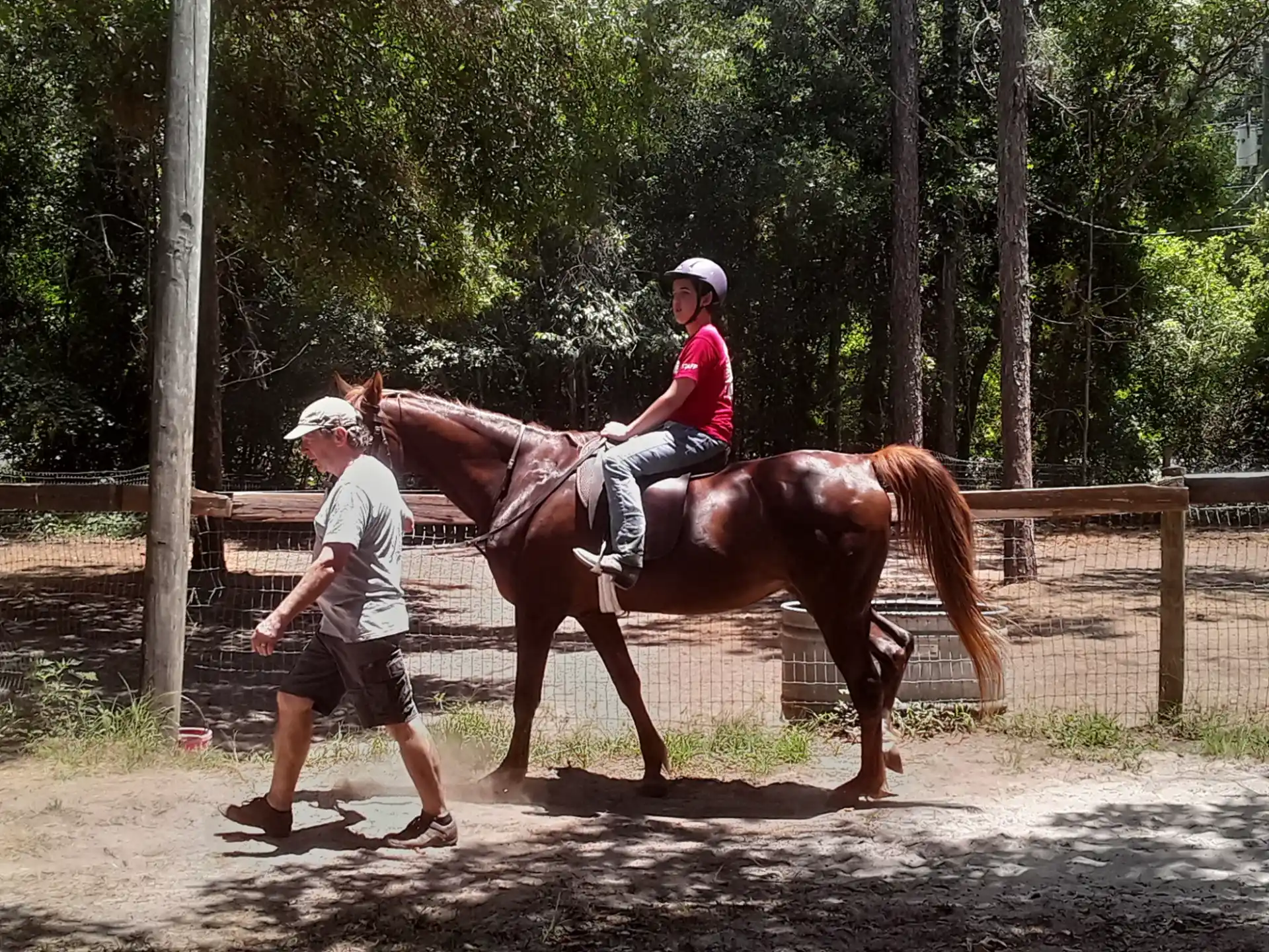 a person riding a horse
