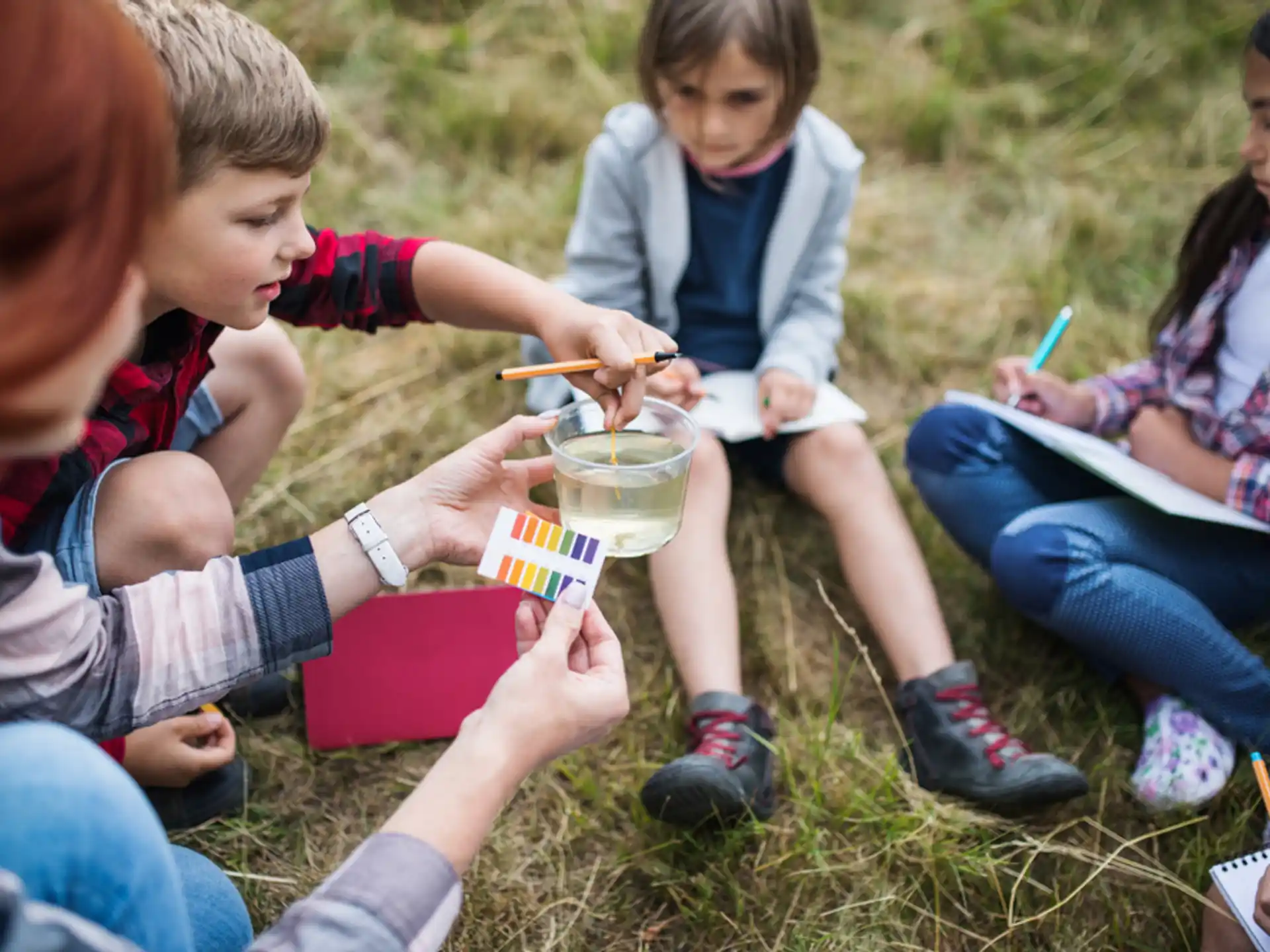 a group of children sitting on the grass